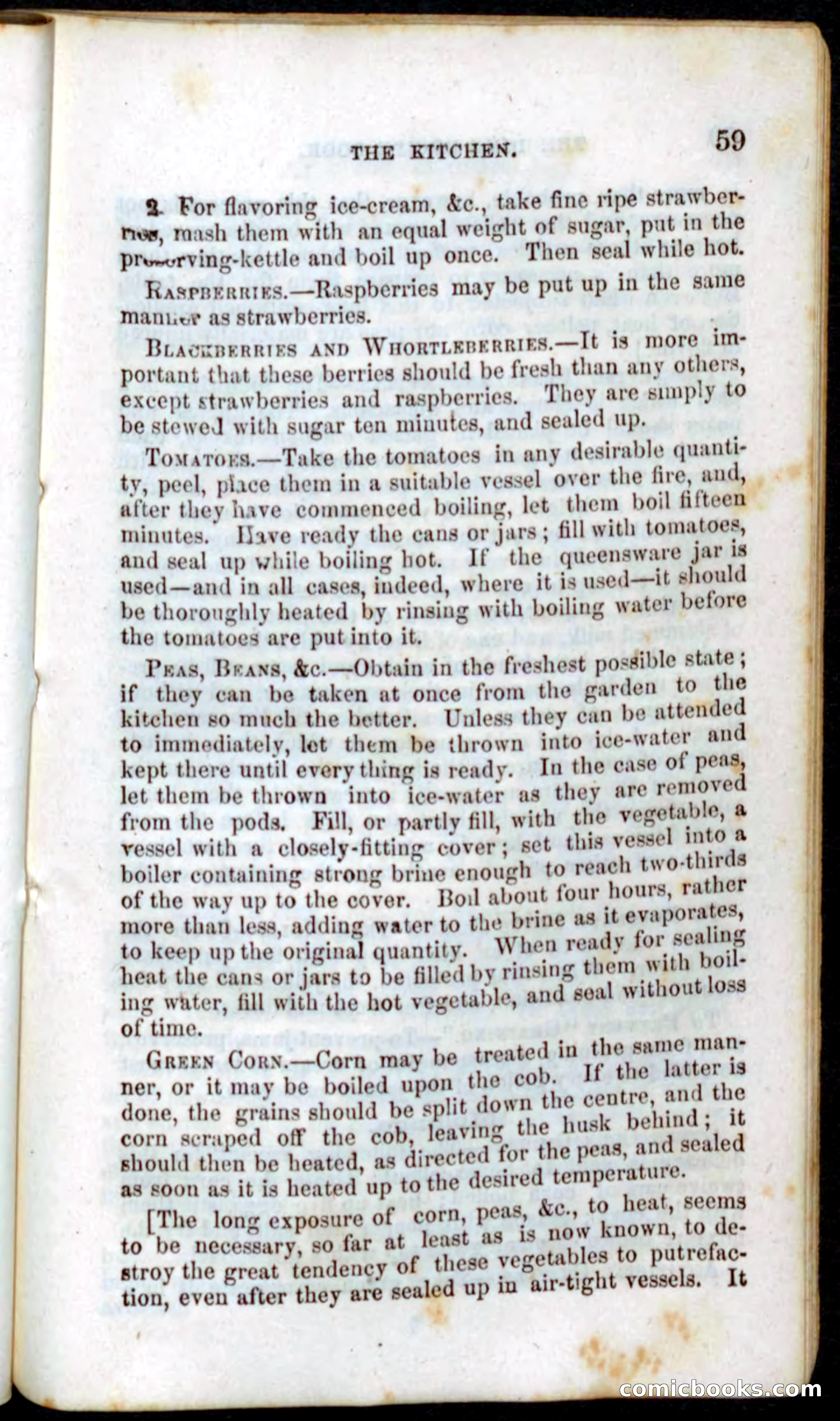 Beadle's Dime Recipe Book — page 61 of 78