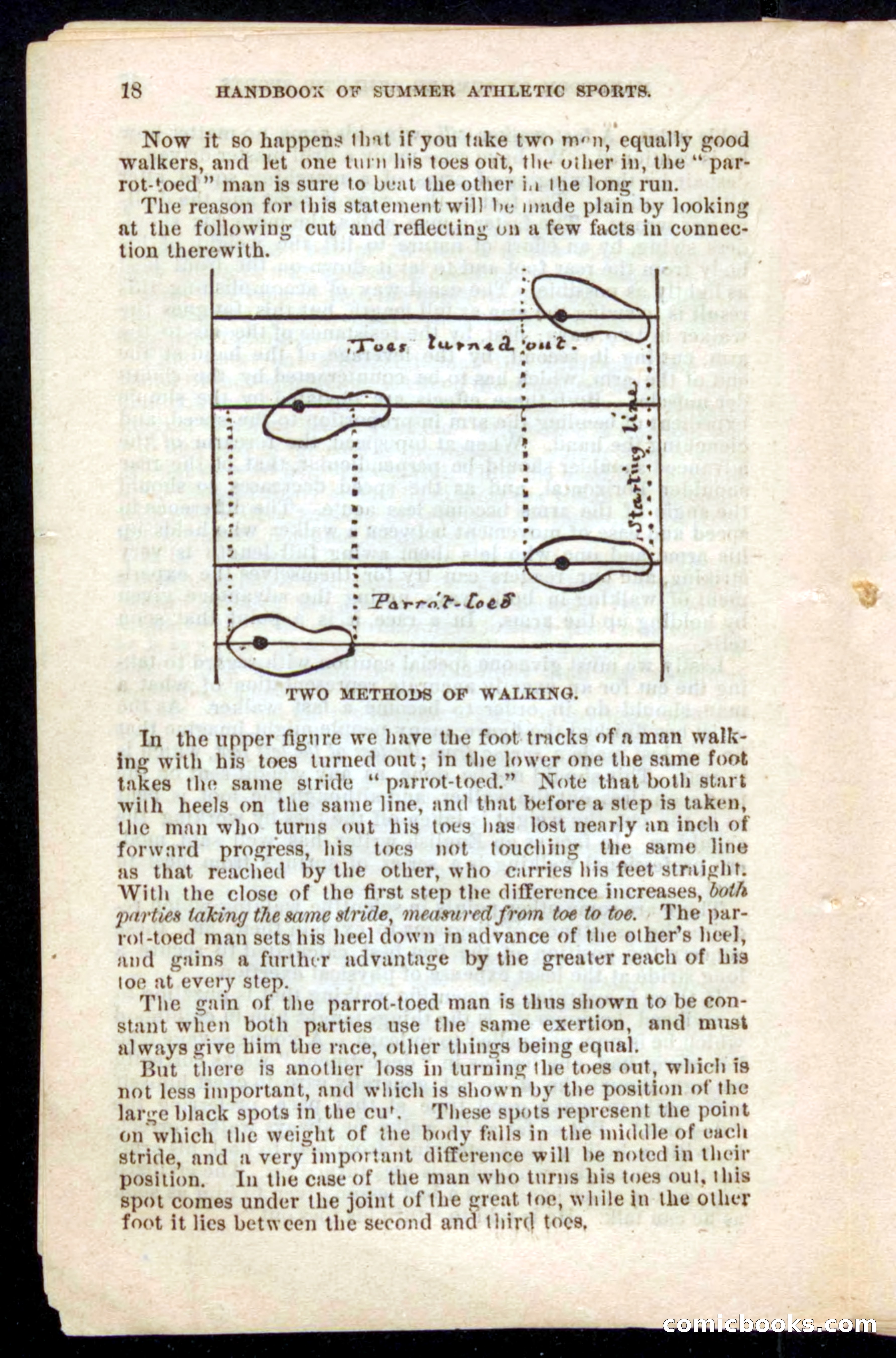 Beadle's Dime Handbooks: Grand Book of Summer Sports — page 18 of 68