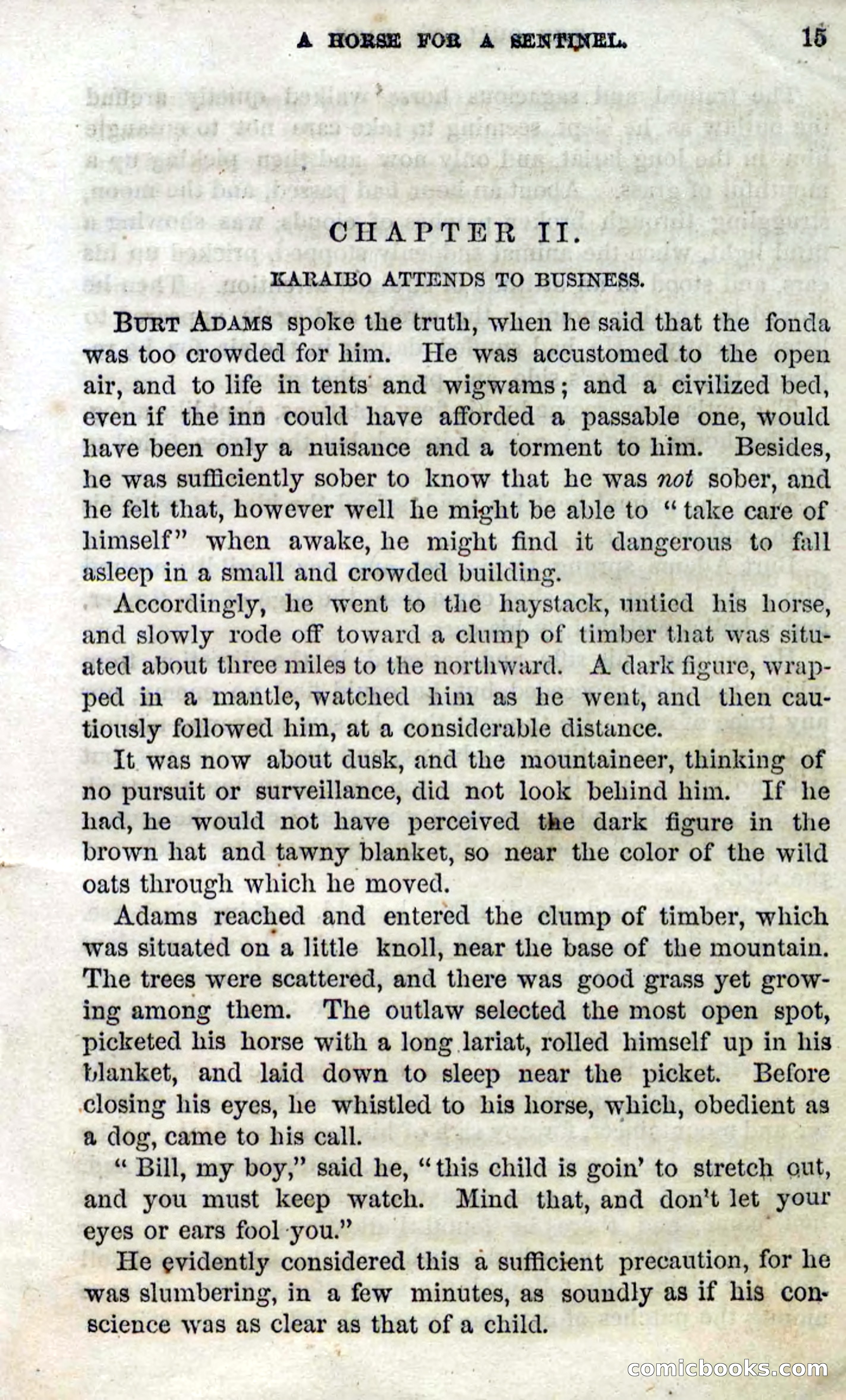 Beadle's Dime Novels No. 100 — page 10 of 95