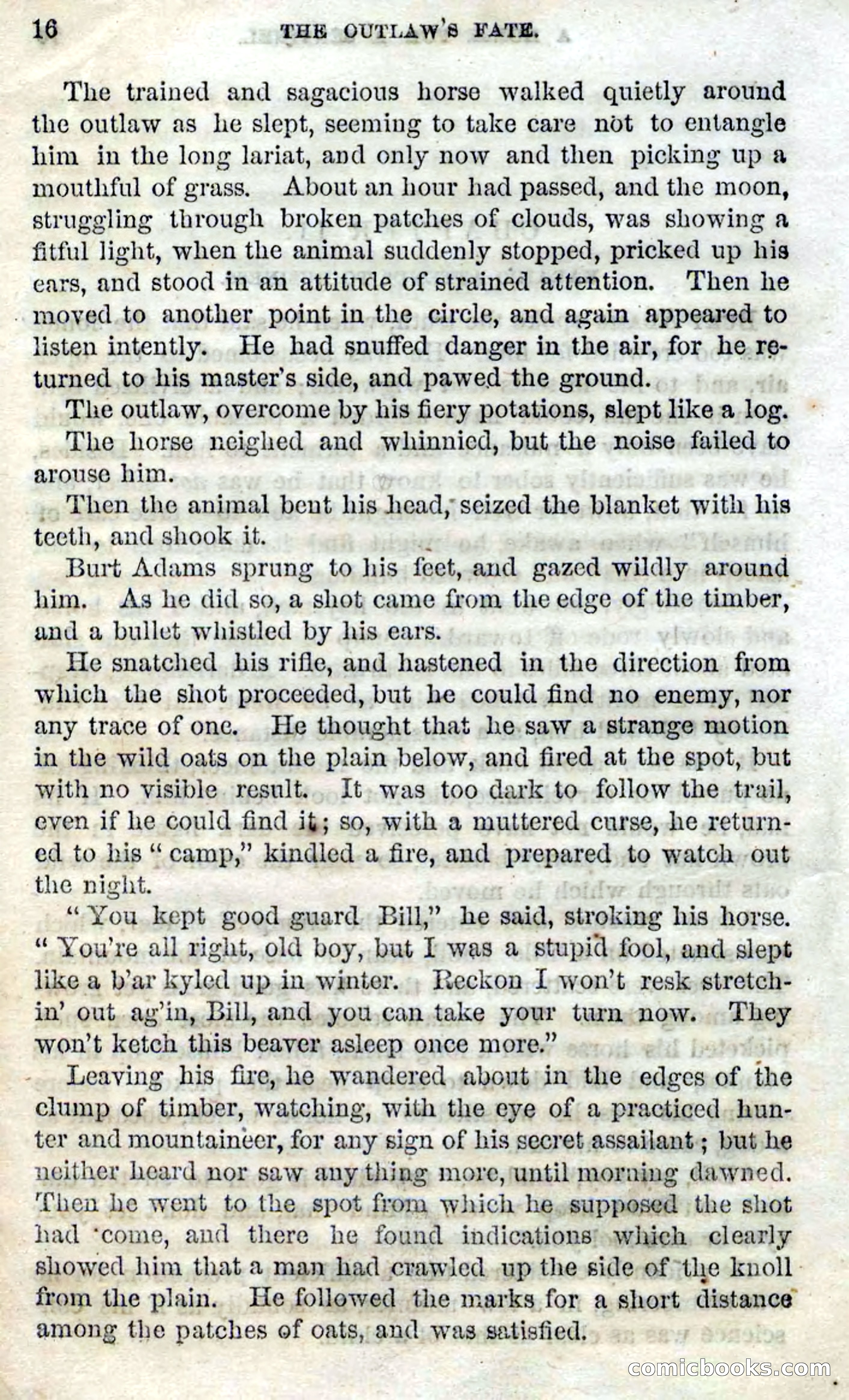 Beadle's Dime Novels No. 100 — page 11 of 95