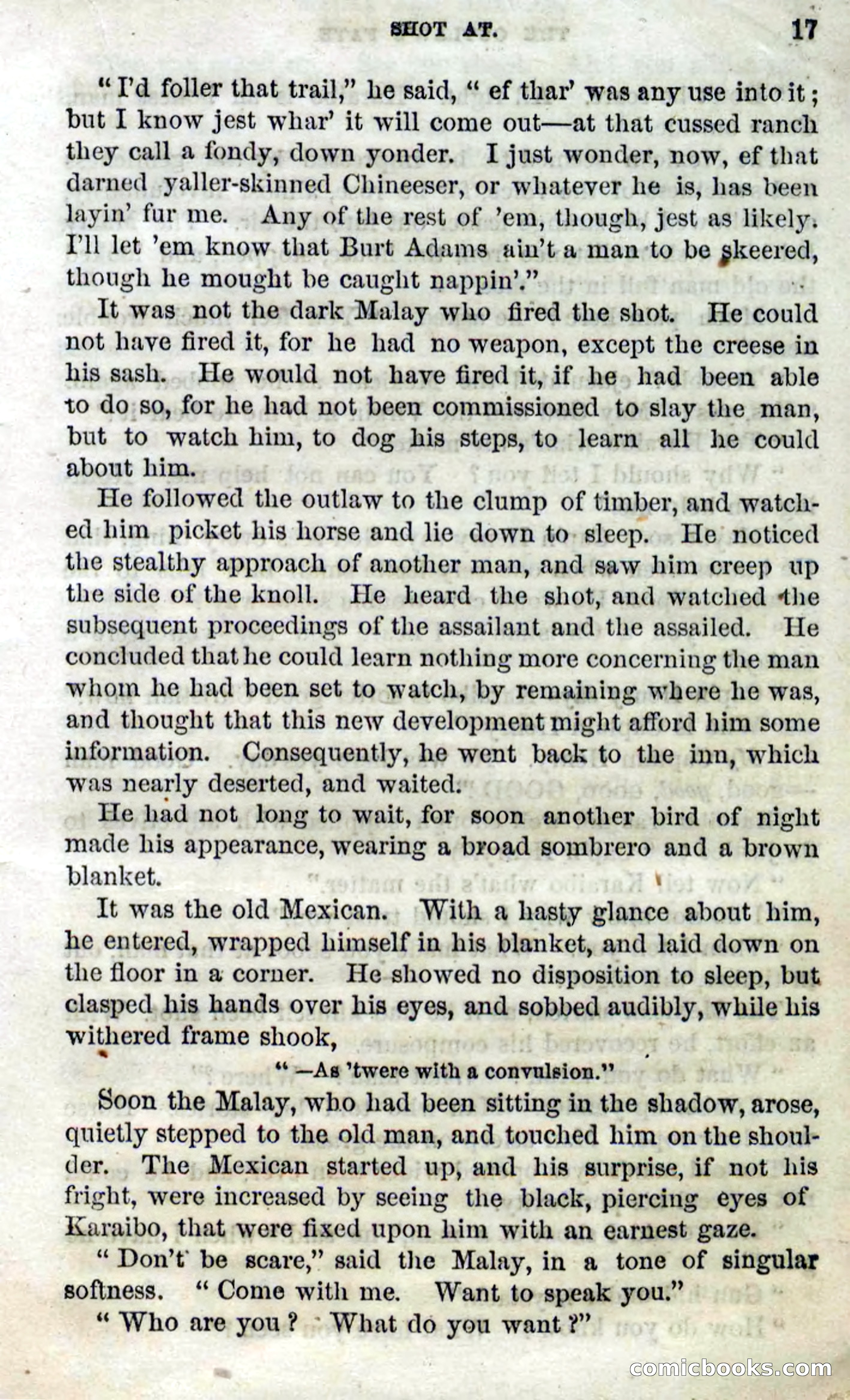 Beadle's Dime Novels No. 100 — page 12 of 95