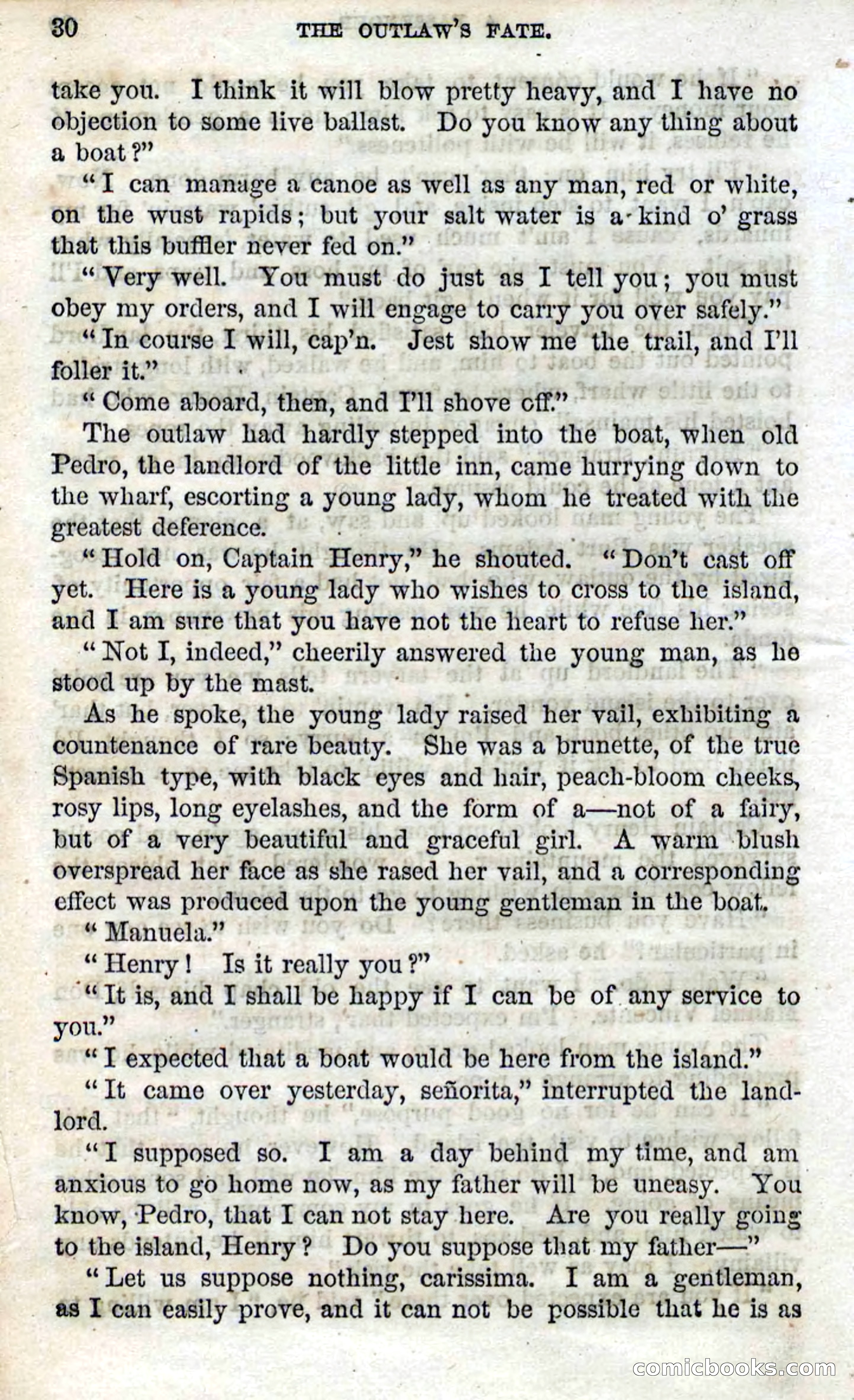 Beadle's Dime Novels No. 100 — page 25 of 95