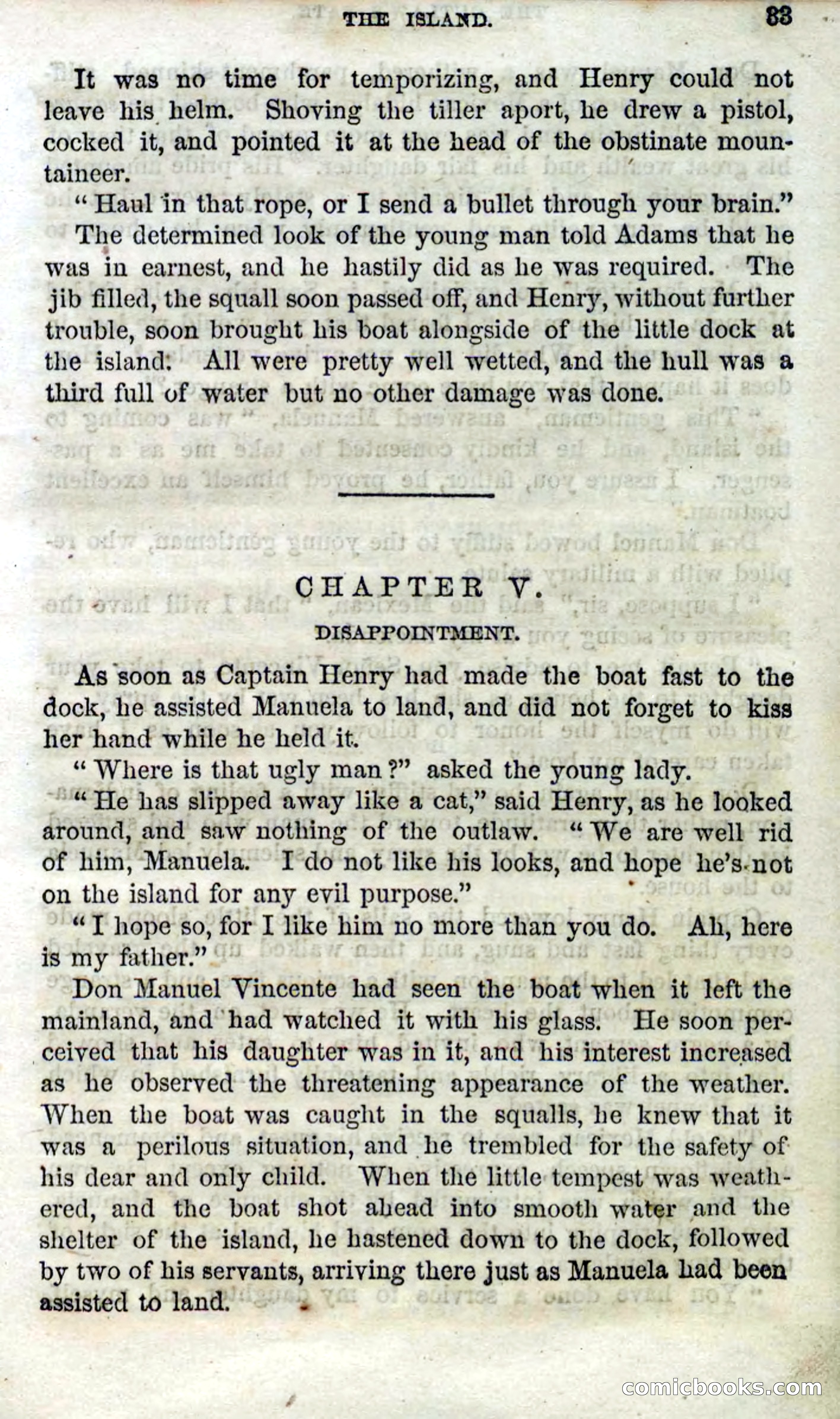 Beadle's Dime Novels No. 100 — page 28 of 95