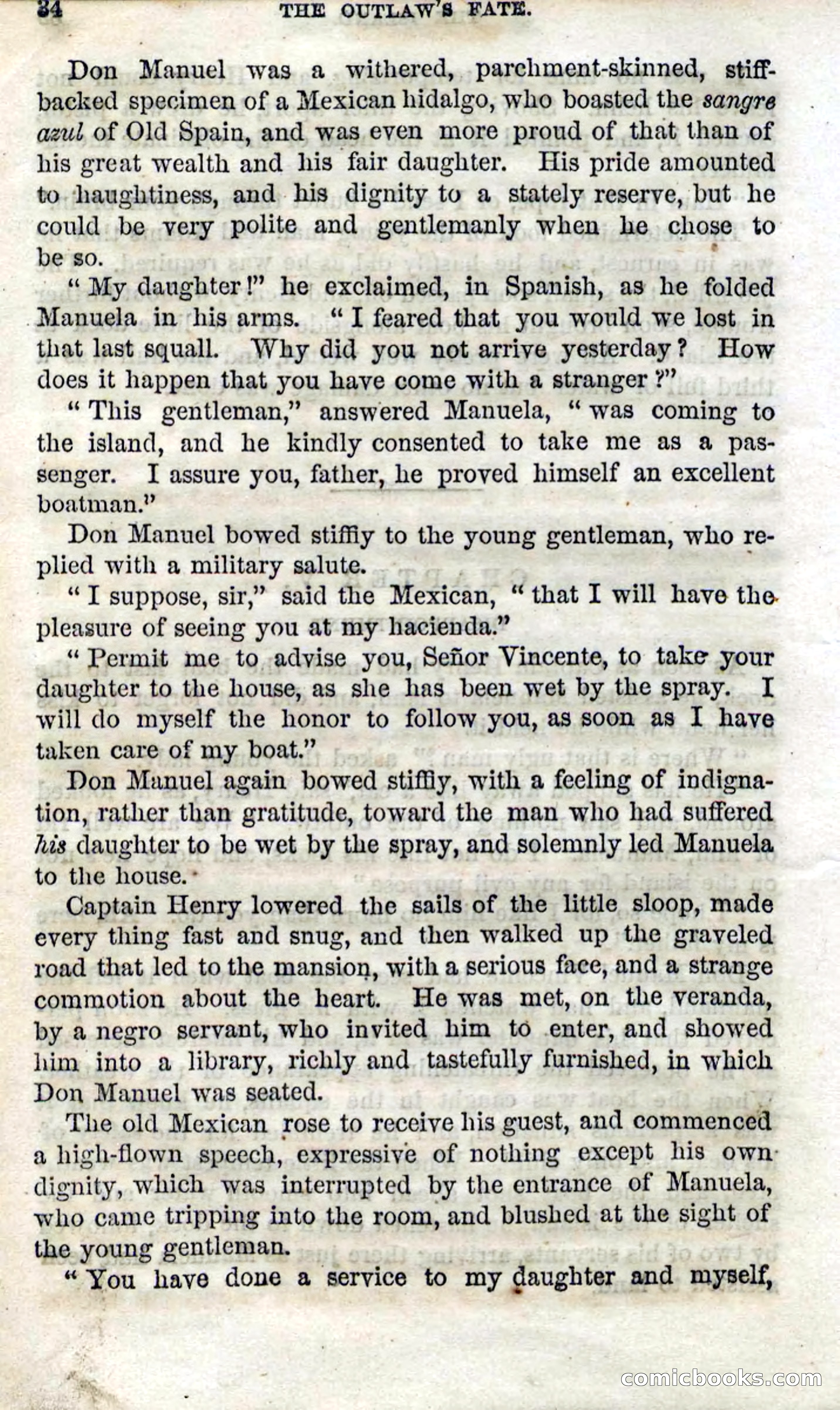 Beadle's Dime Novels No. 100 — page 29 of 95