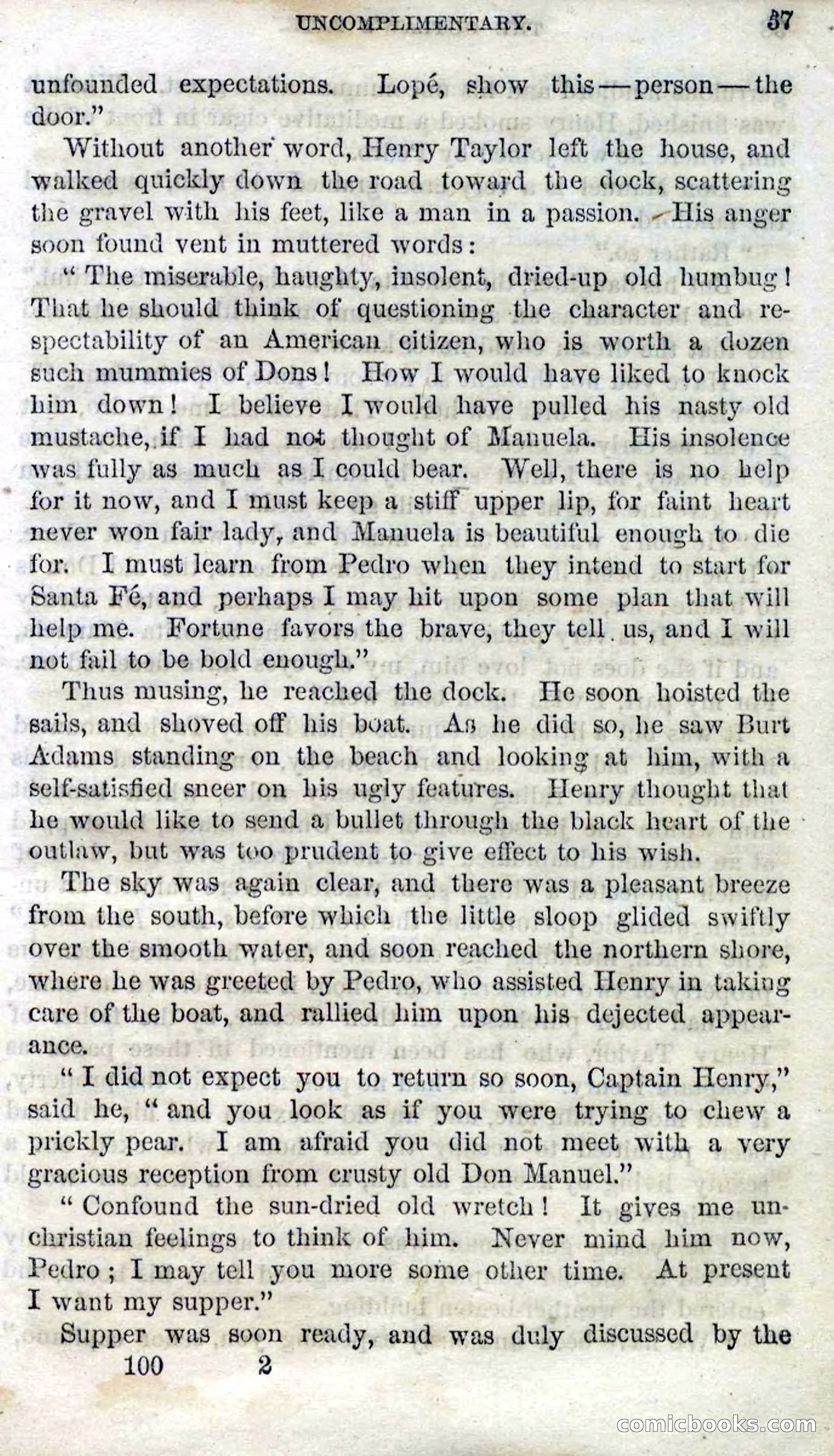 Beadle's Dime Novels No. 100 — page 32 of 95