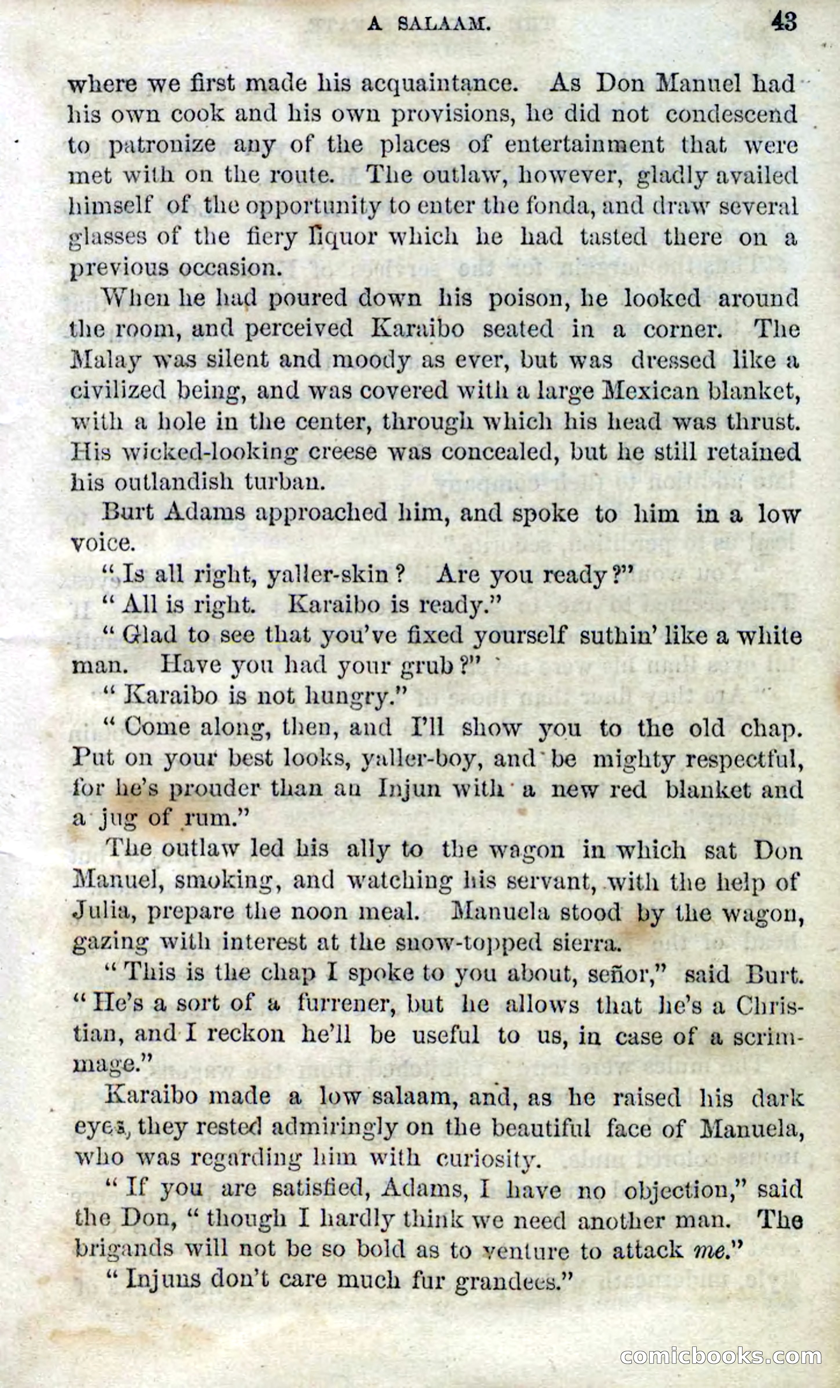 Beadle's Dime Novels No. 100 — page 38 of 95