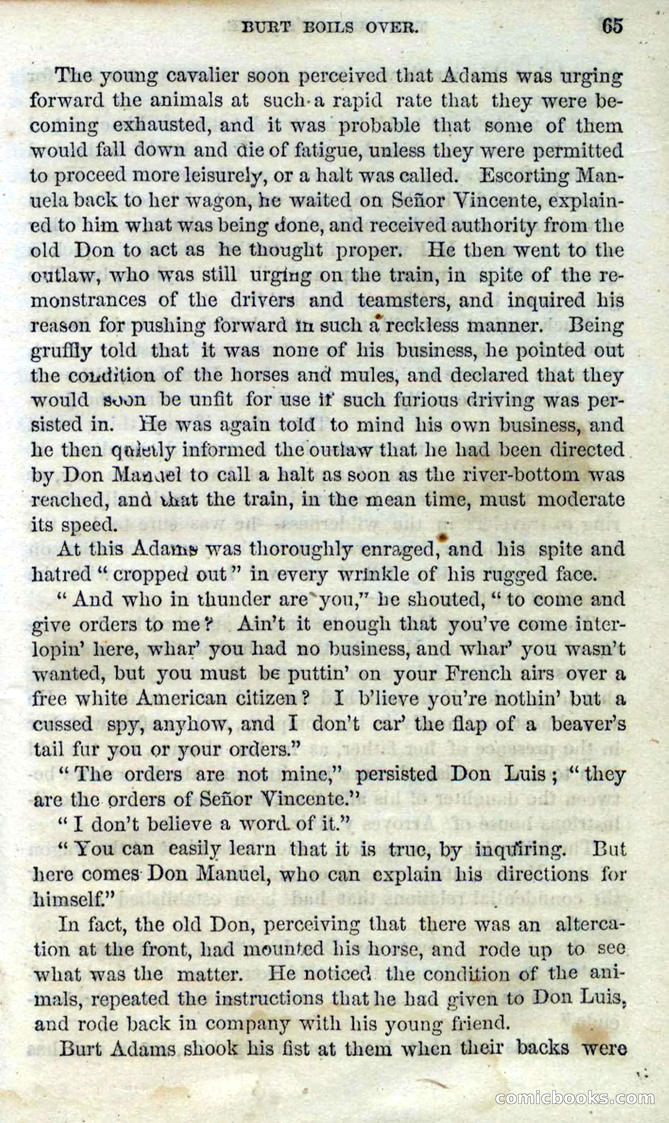 Beadle's Dime Novels No. 100 — page 60 of 95
