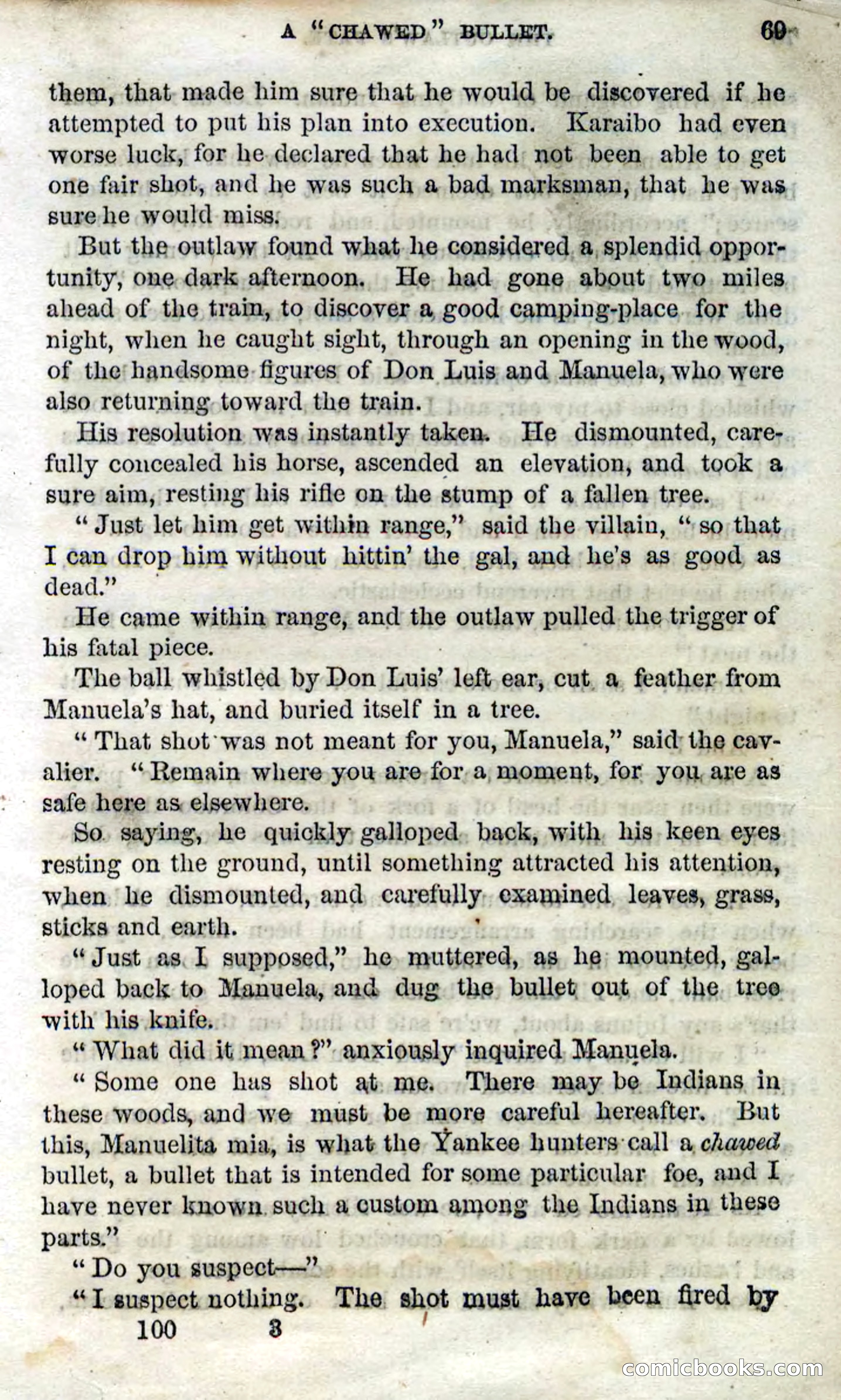 Beadle's Dime Novels No. 100 — page 64 of 95