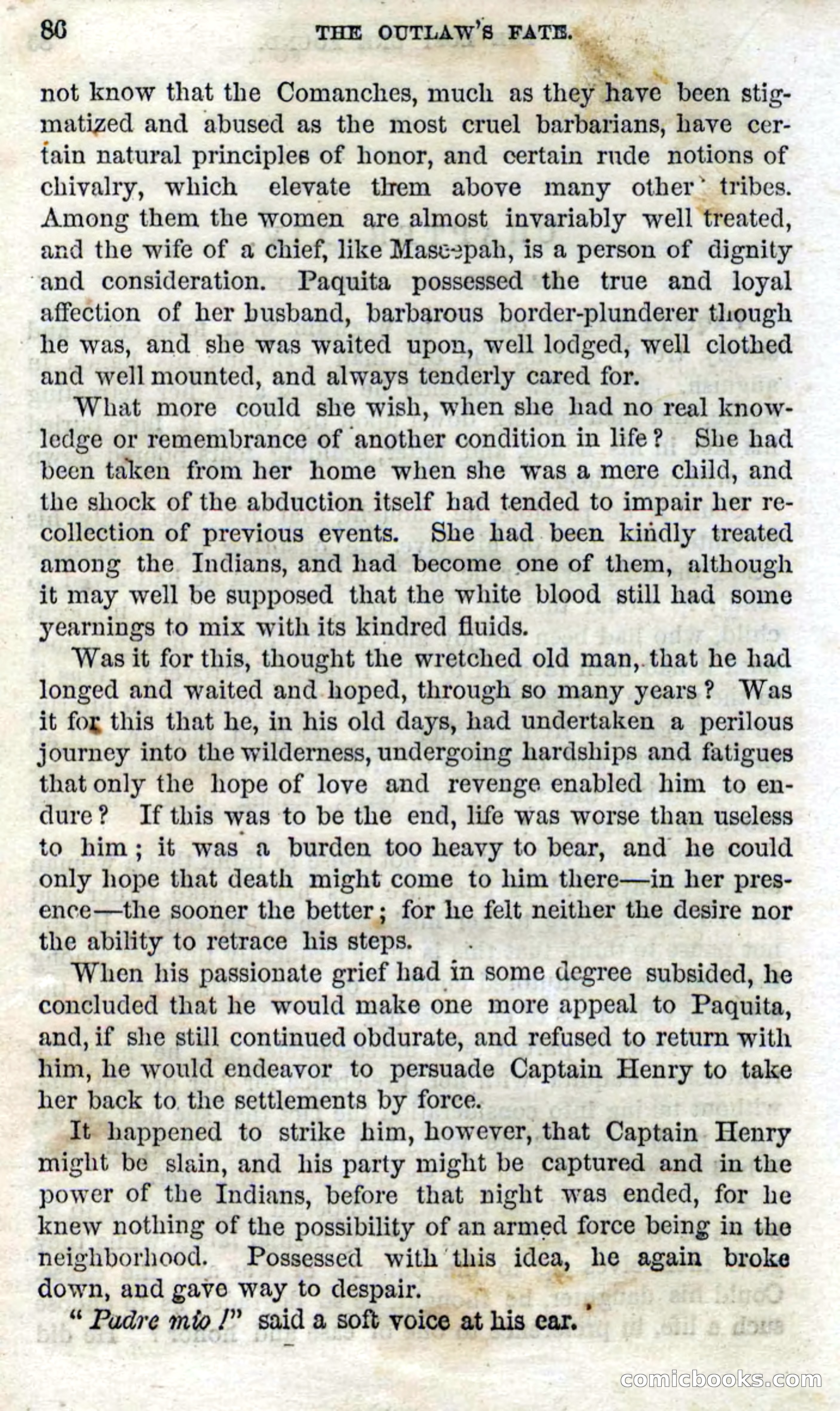 Beadle's Dime Novels No. 100 — page 81 of 95