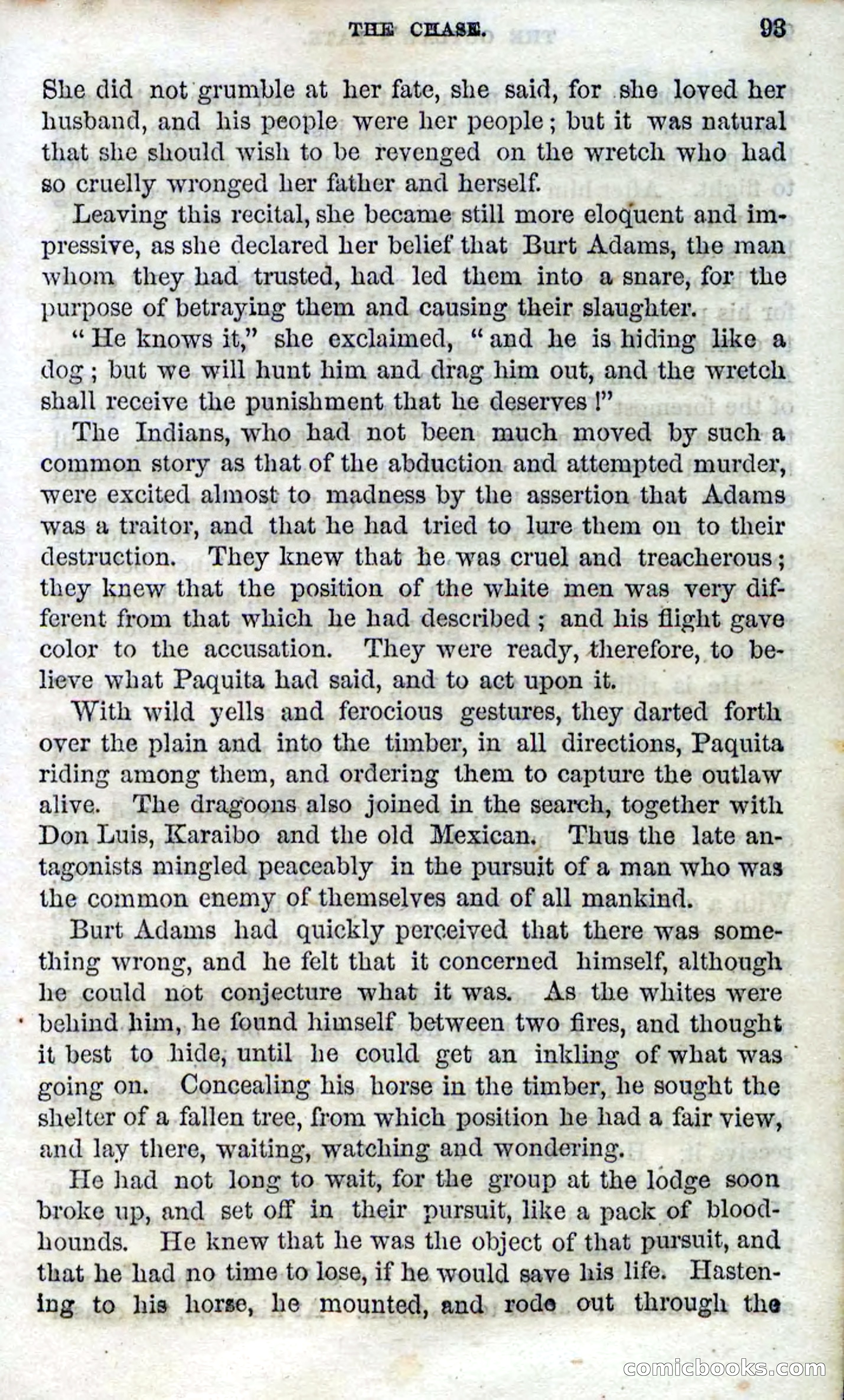 Beadle's Dime Novels No. 100 — page 88 of 95