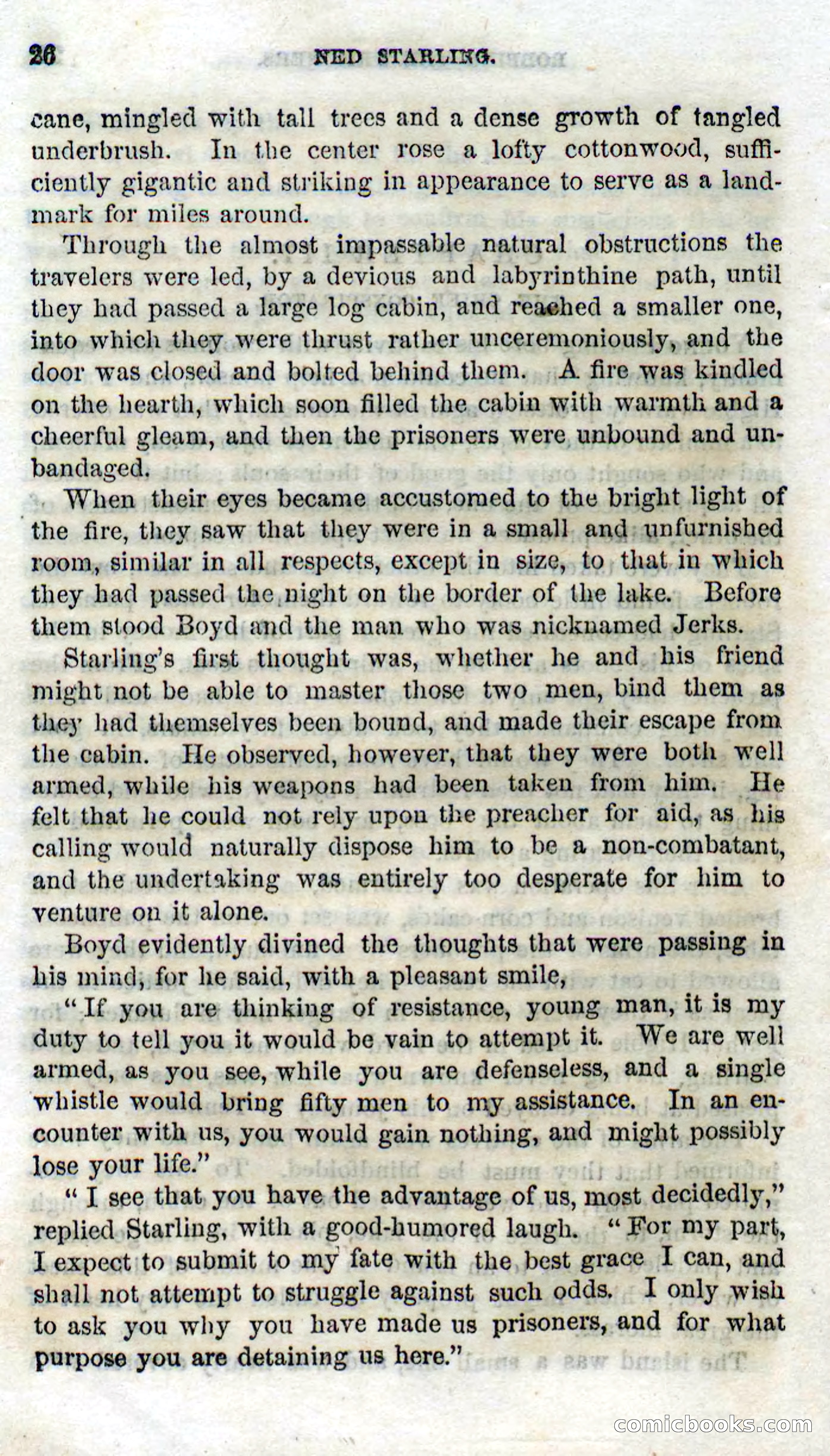 Beadle's Dime Novels No. 114: Ned Starling — page 24 of 100