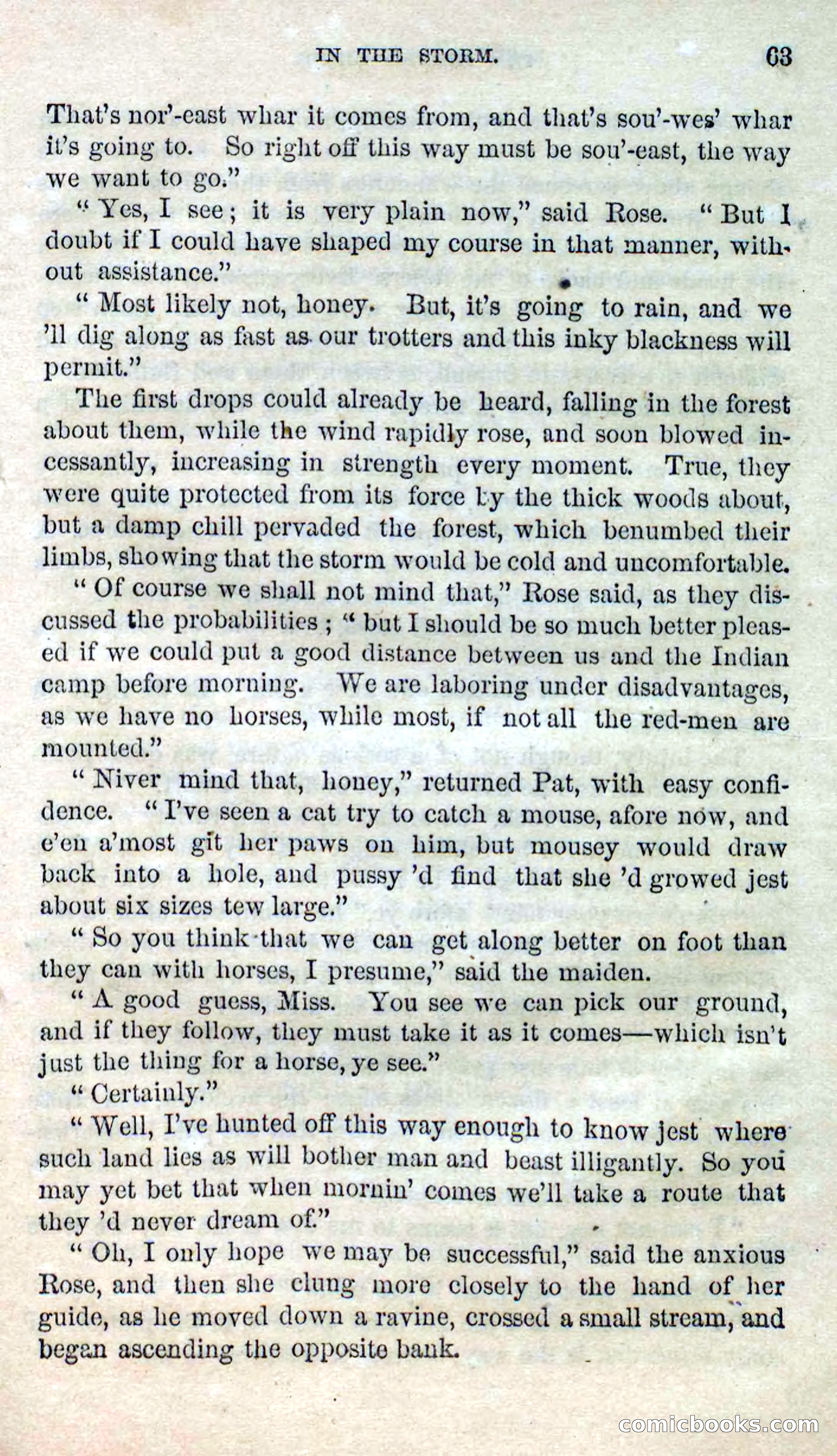 Beadle's Dime Novels No. 123: The Missing Bride — page 61 of 100
