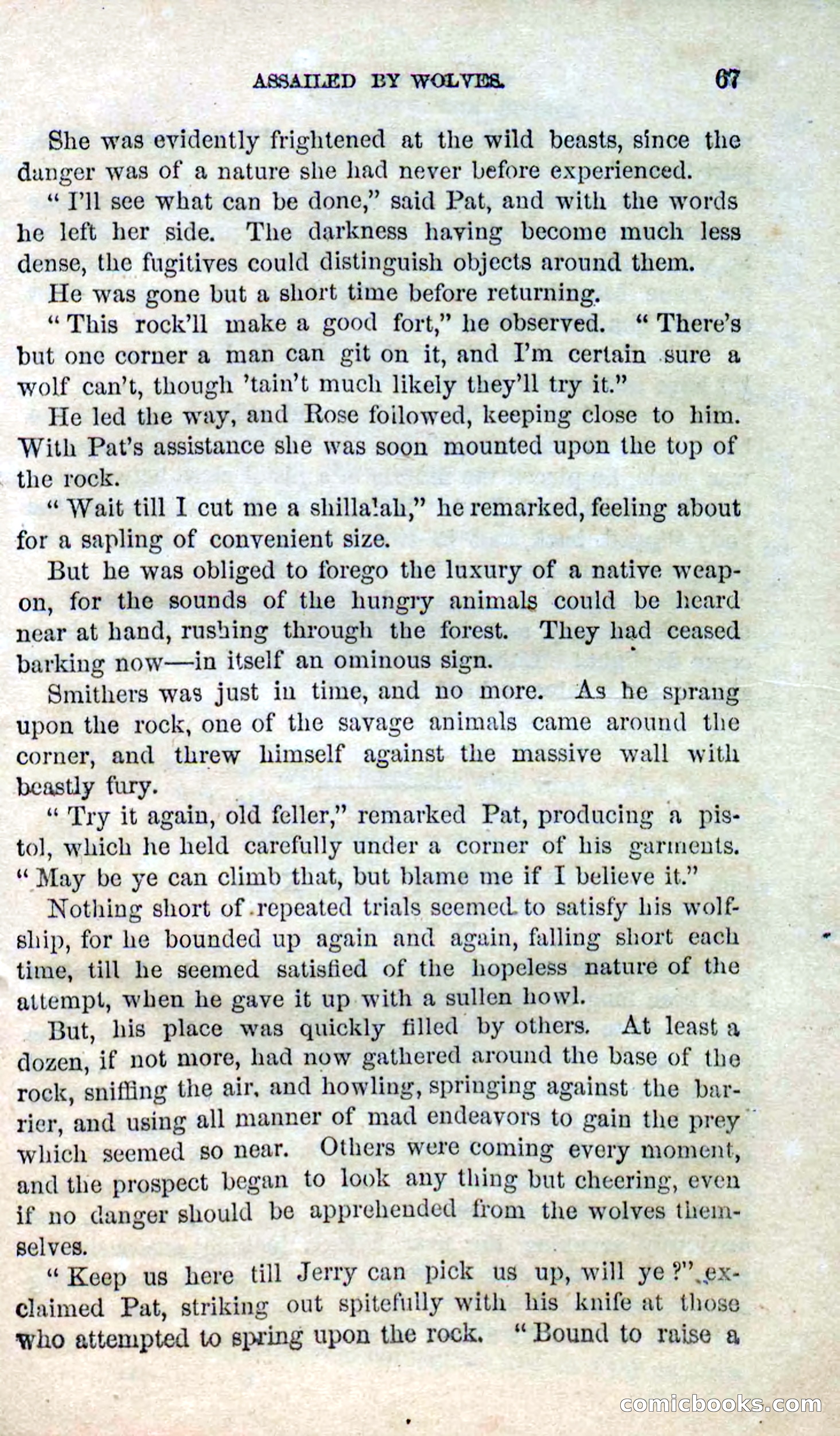 Beadle's Dime Novels No. 123: The Missing Bride — page 65 of 100