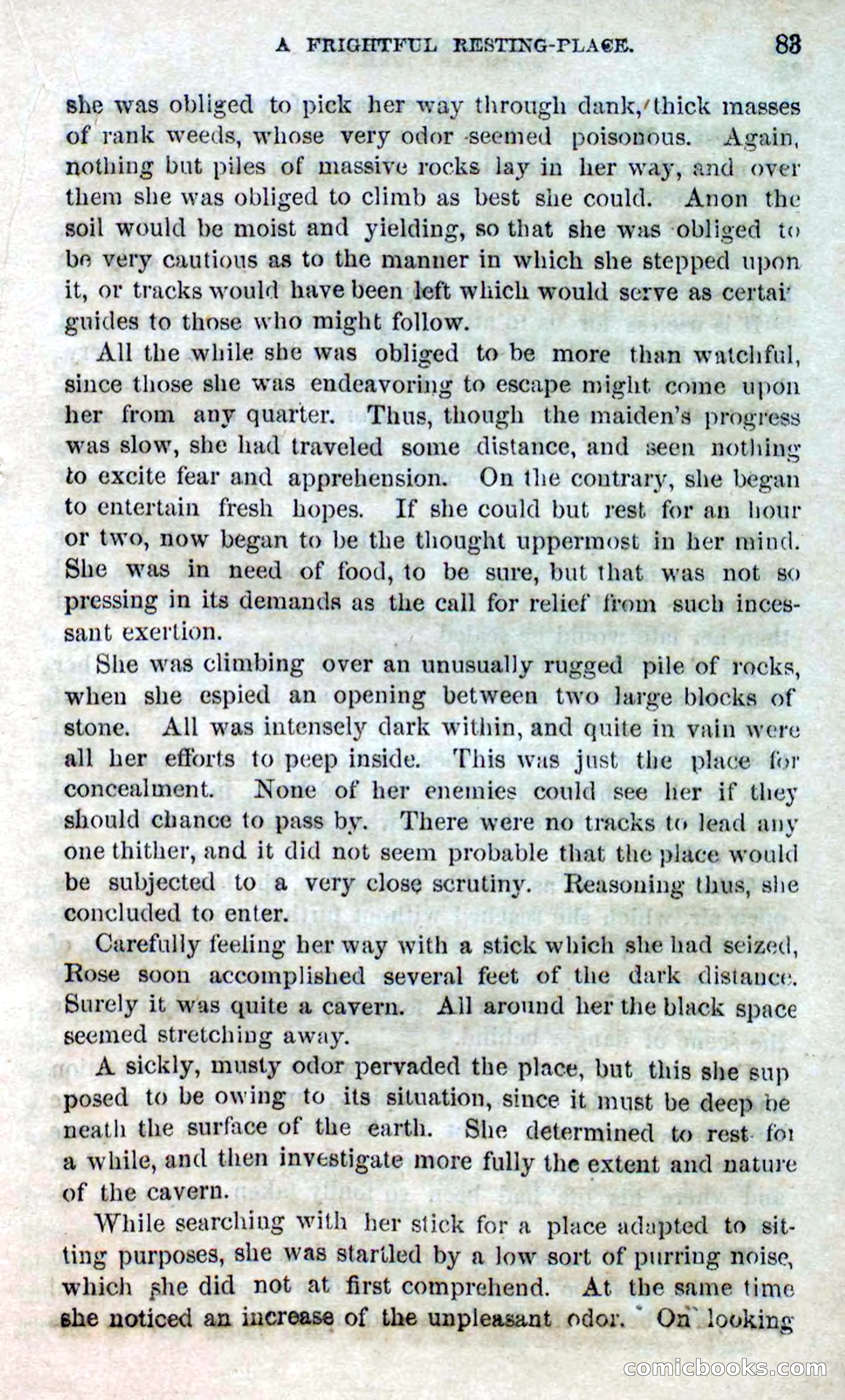 Beadle's Dime Novels No. 123: The Missing Bride — page 81 of 100