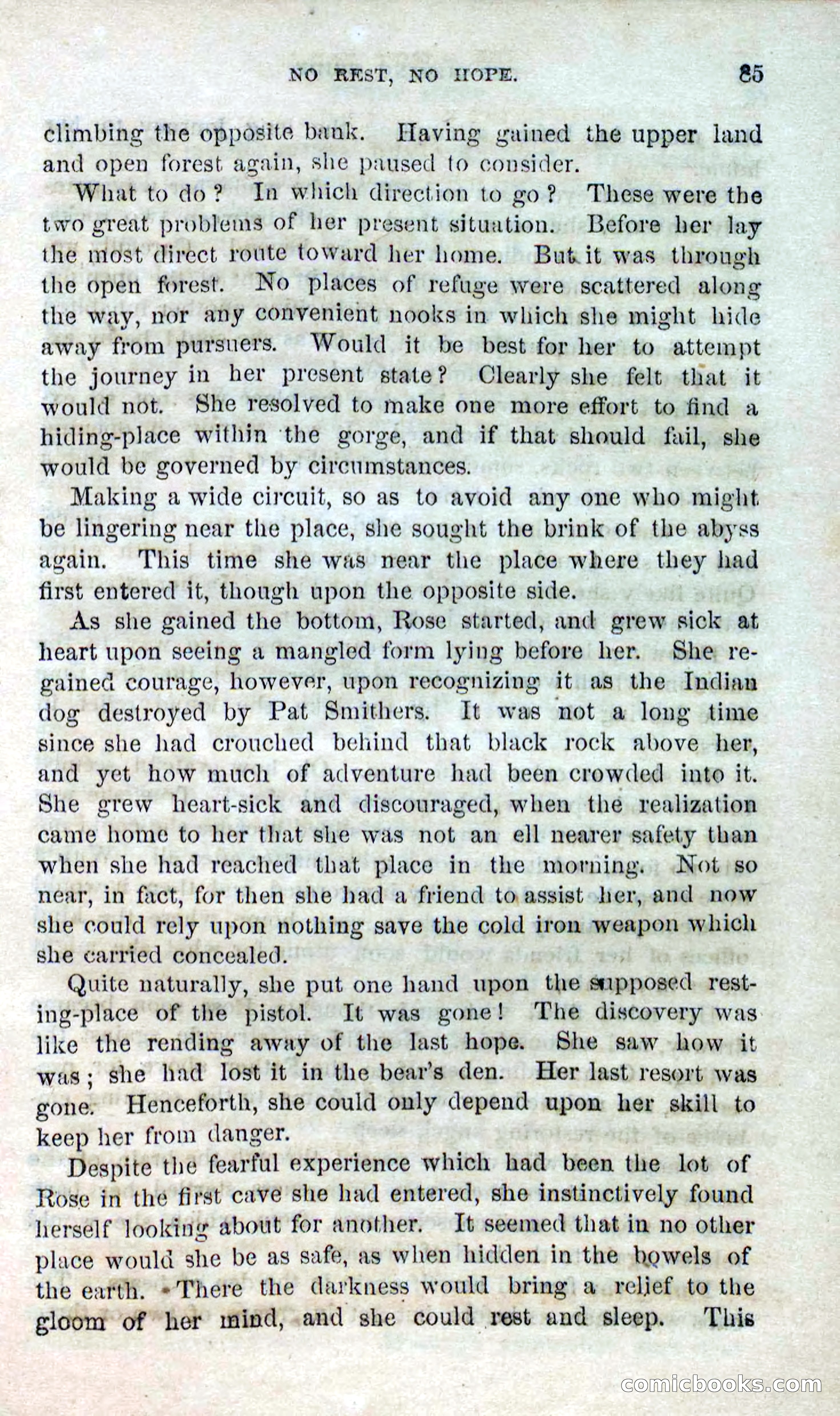Beadle's Dime Novels No. 123: The Missing Bride — page 83 of 100