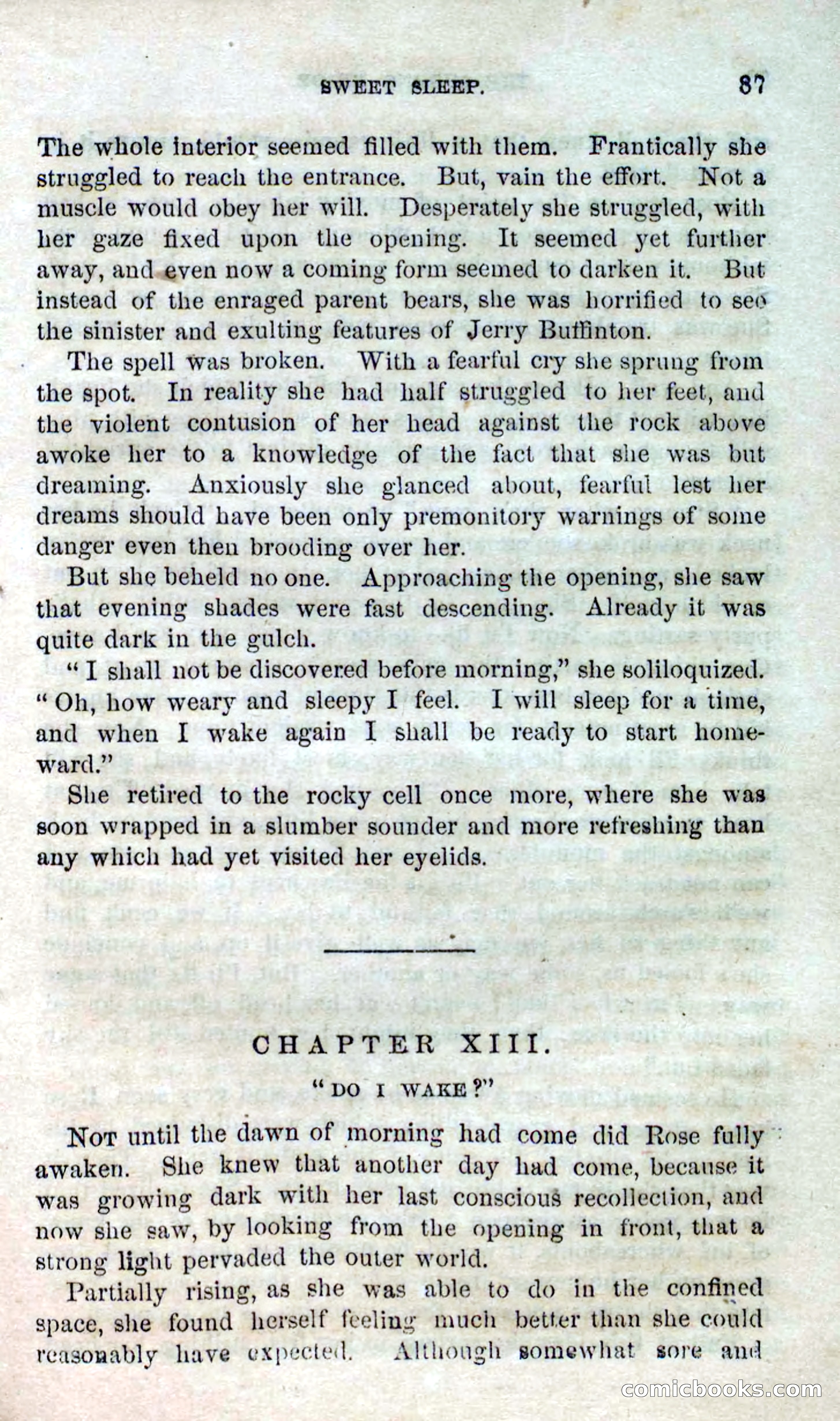 Beadle's Dime Novels No. 123: The Missing Bride — page 85 of 100