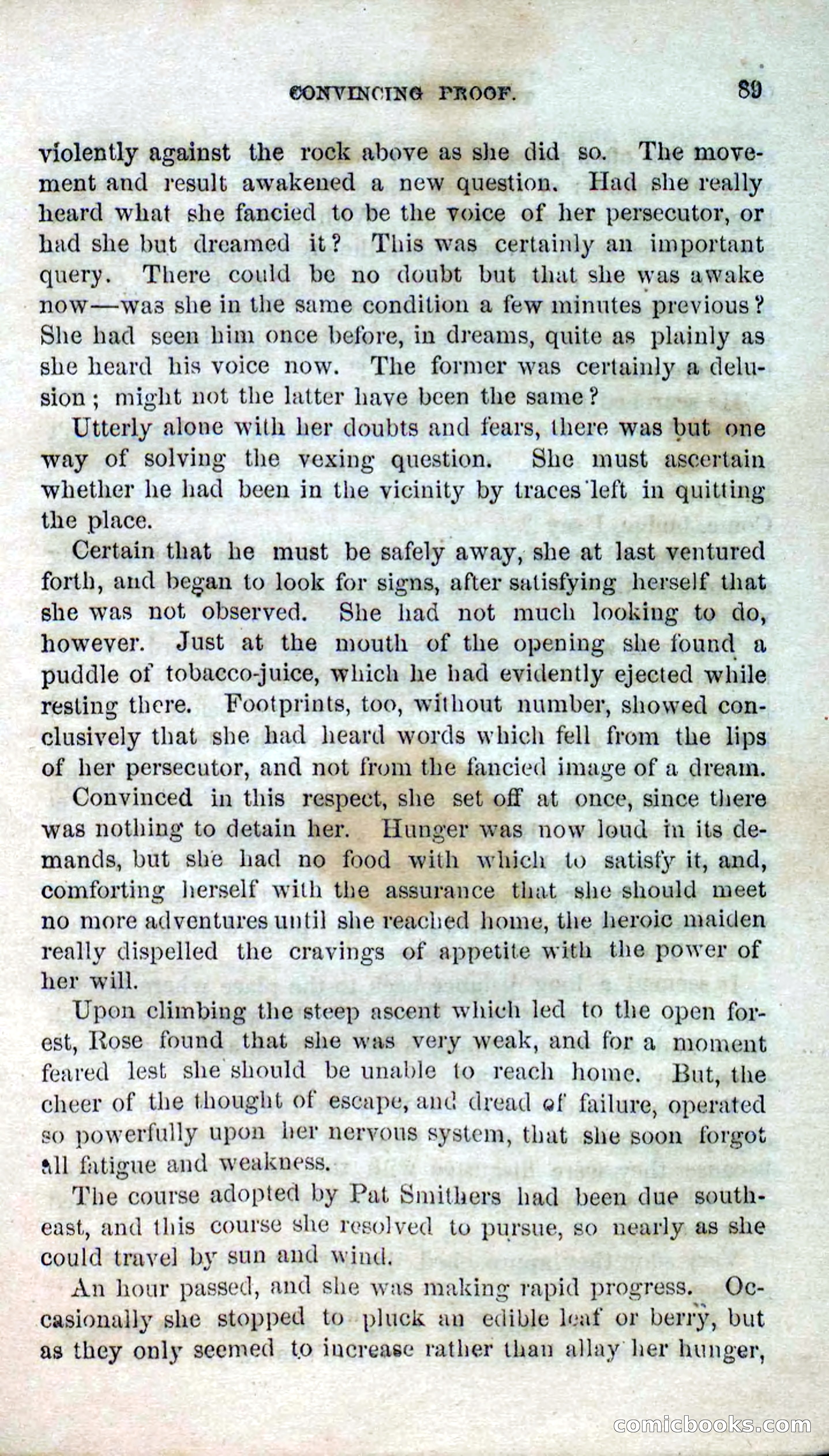Beadle's Dime Novels No. 123: The Missing Bride — page 87 of 100