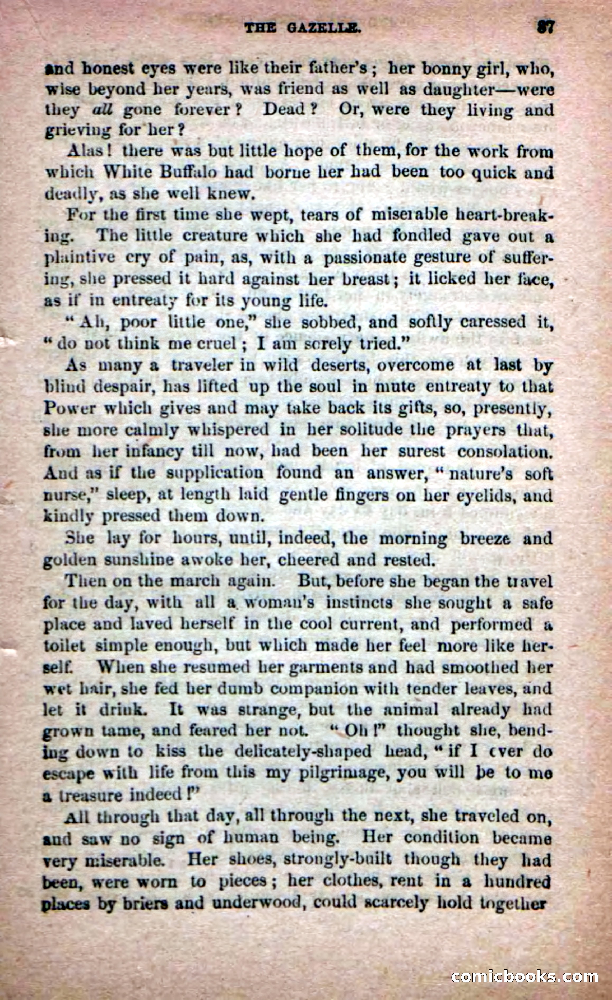Job Dean, the Trapper — page 85 of 100