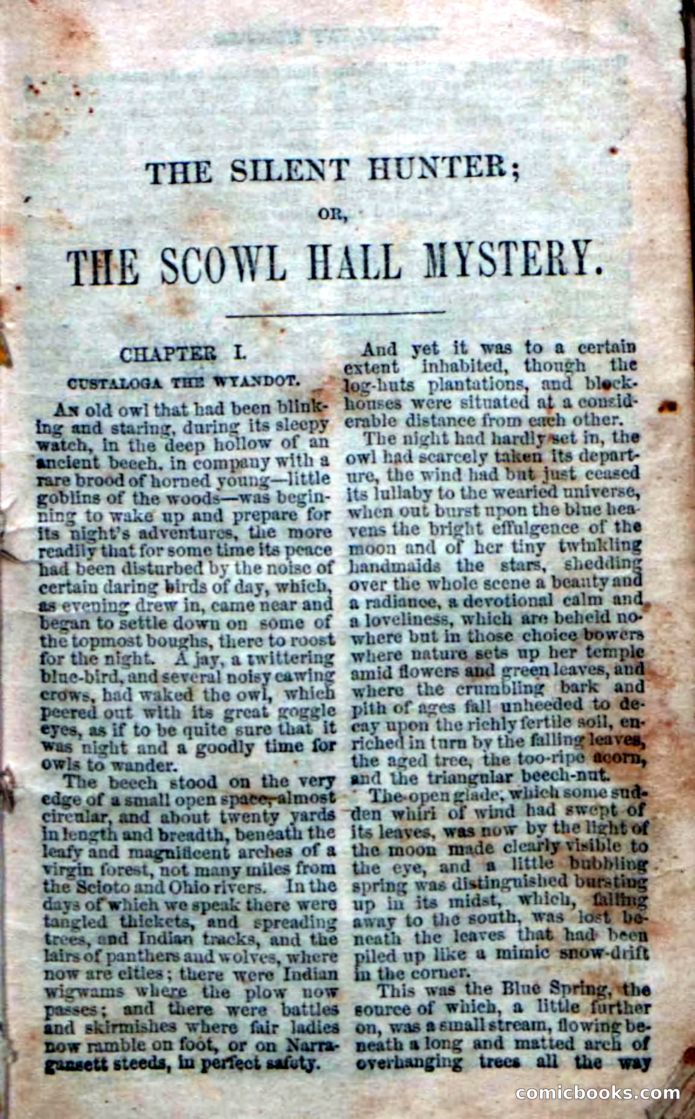 The Silent Hunter; or, The Scowl Hall Mystery — page 3 of 190