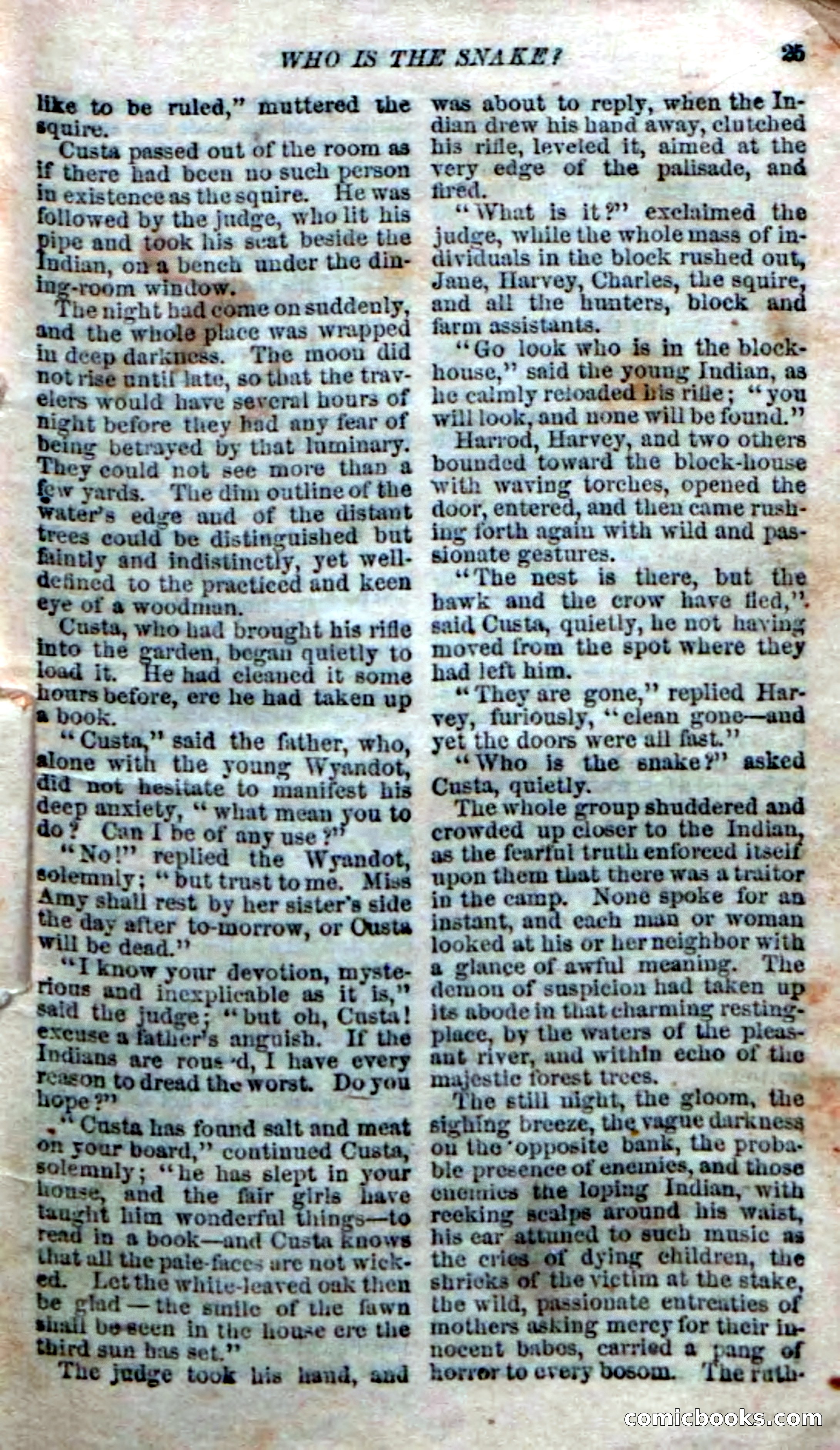The Silent Hunter; or, The Scowl Hall Mystery — page 23 of 190