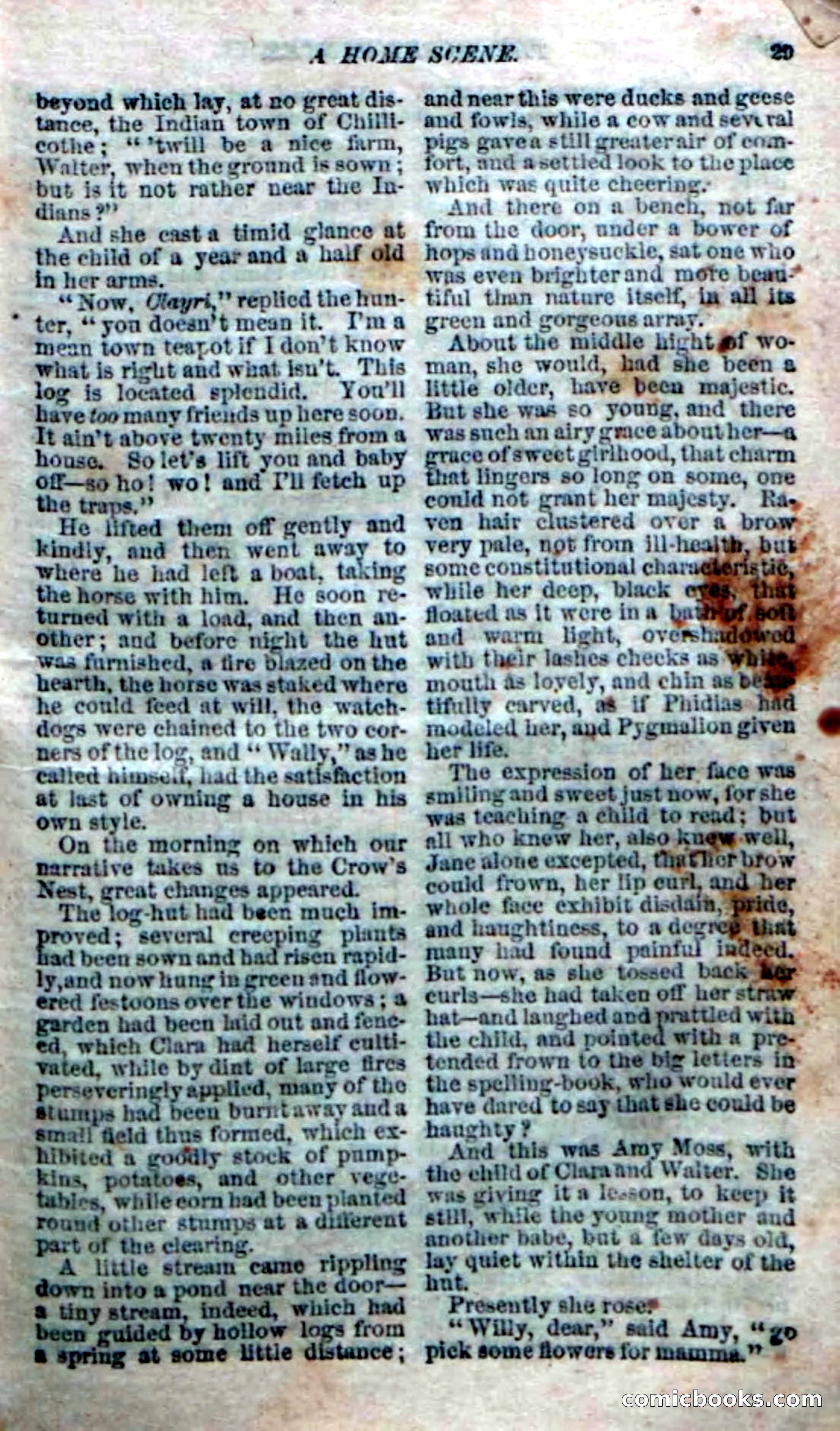 The Silent Hunter; or, The Scowl Hall Mystery — page 27 of 190