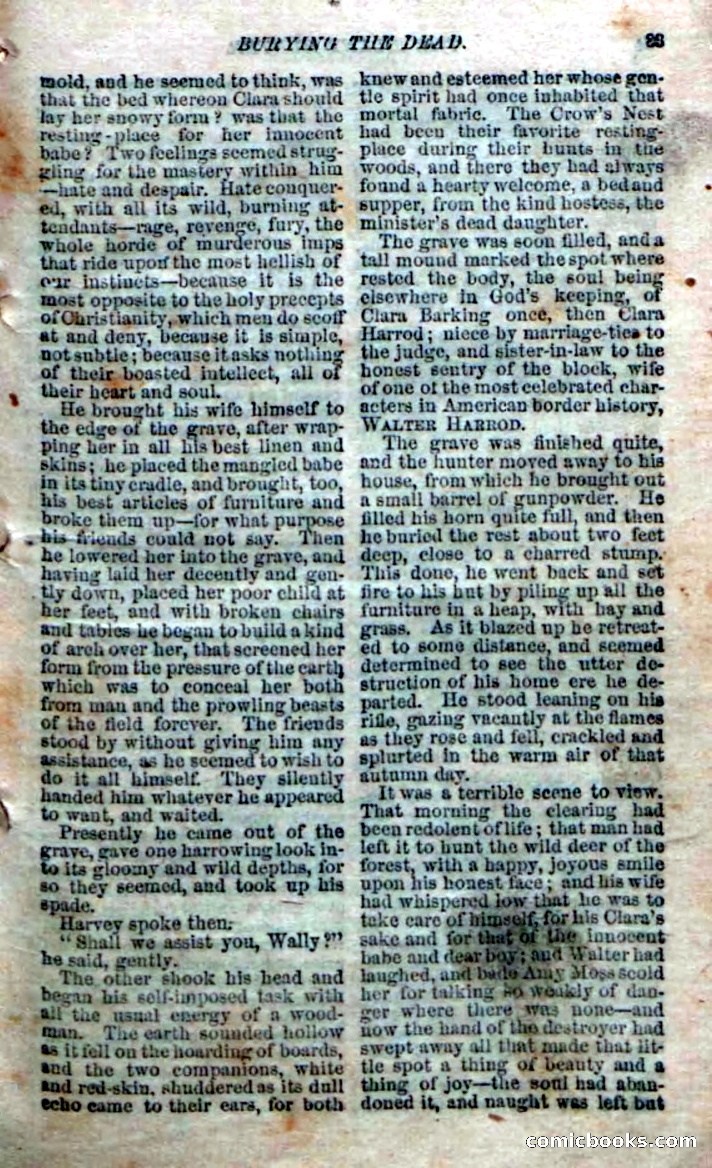 The Silent Hunter; or, The Scowl Hall Mystery — page 31 of 190