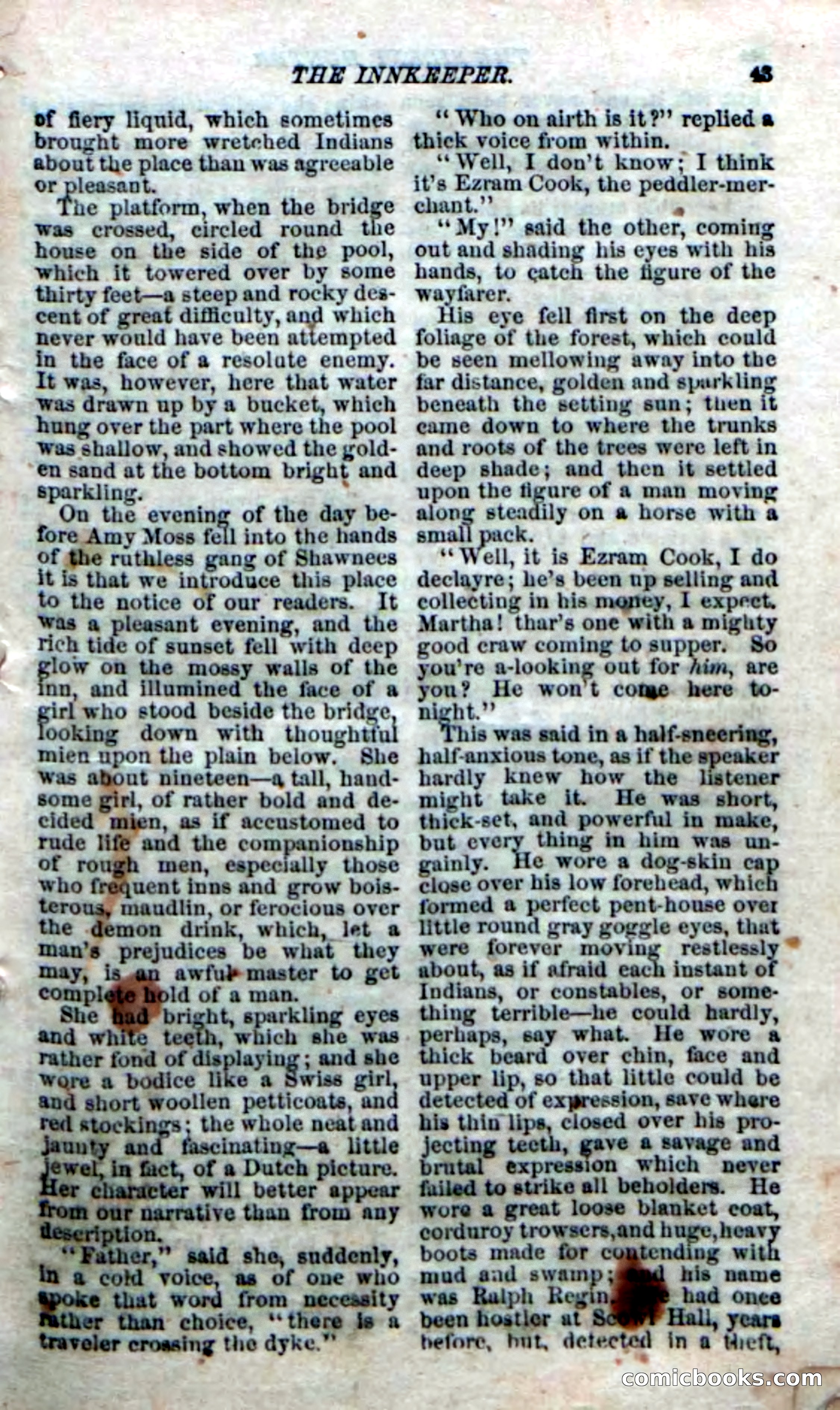 The Silent Hunter; or, The Scowl Hall Mystery — page 41 of 190