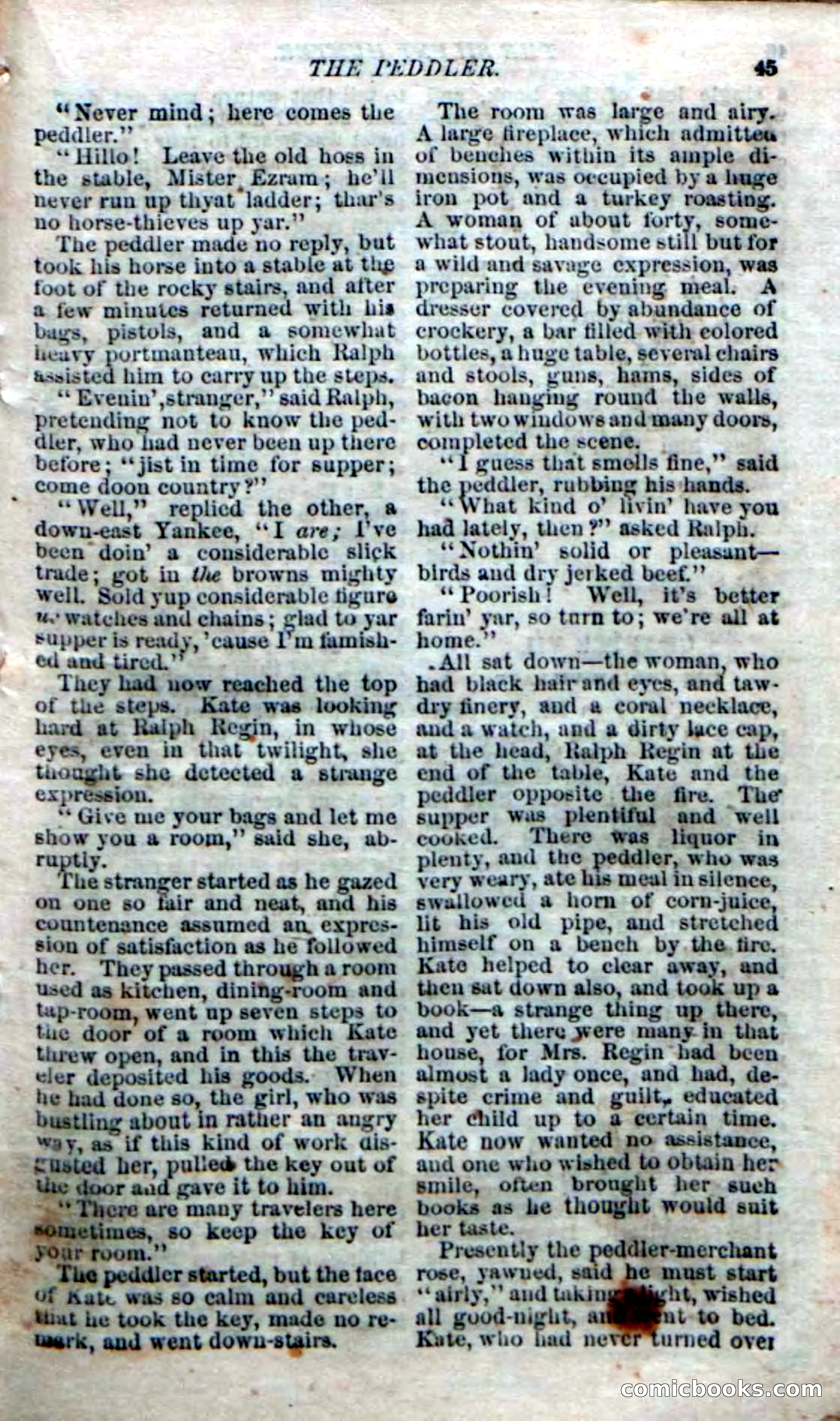 The Silent Hunter; or, The Scowl Hall Mystery — page 43 of 190
