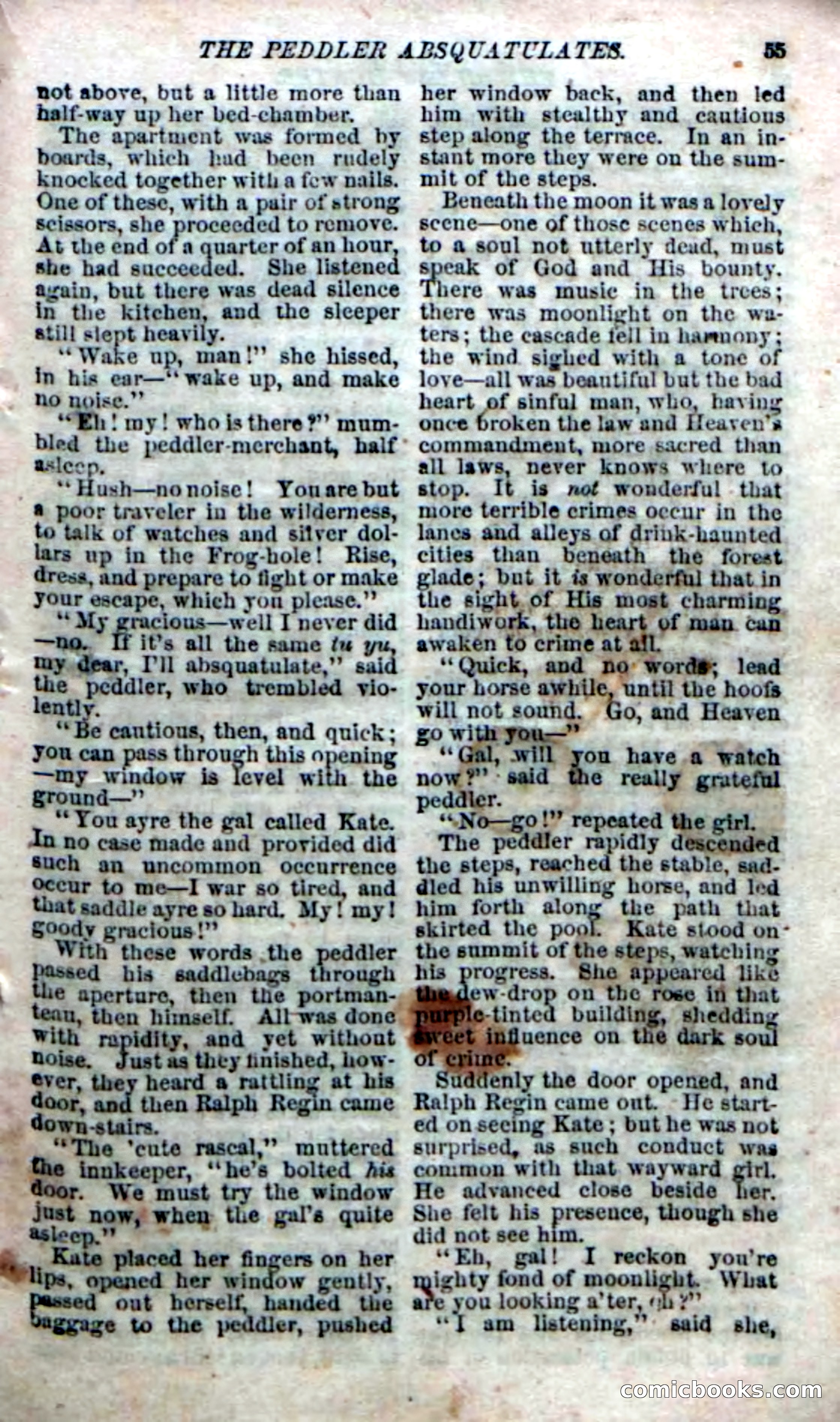 The Silent Hunter; or, The Scowl Hall Mystery — page 53 of 190