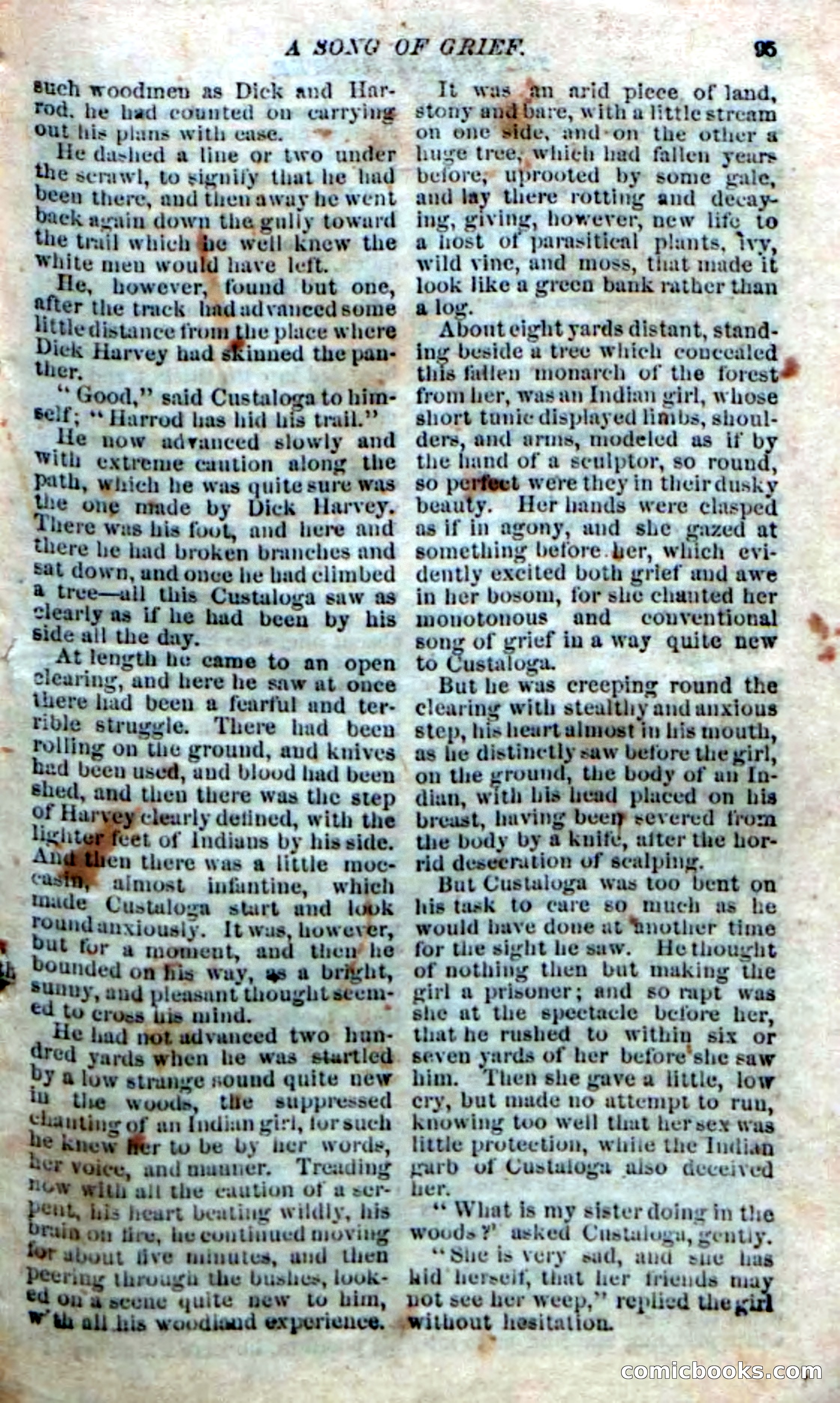 The Silent Hunter; or, The Scowl Hall Mystery — page 93 of 190