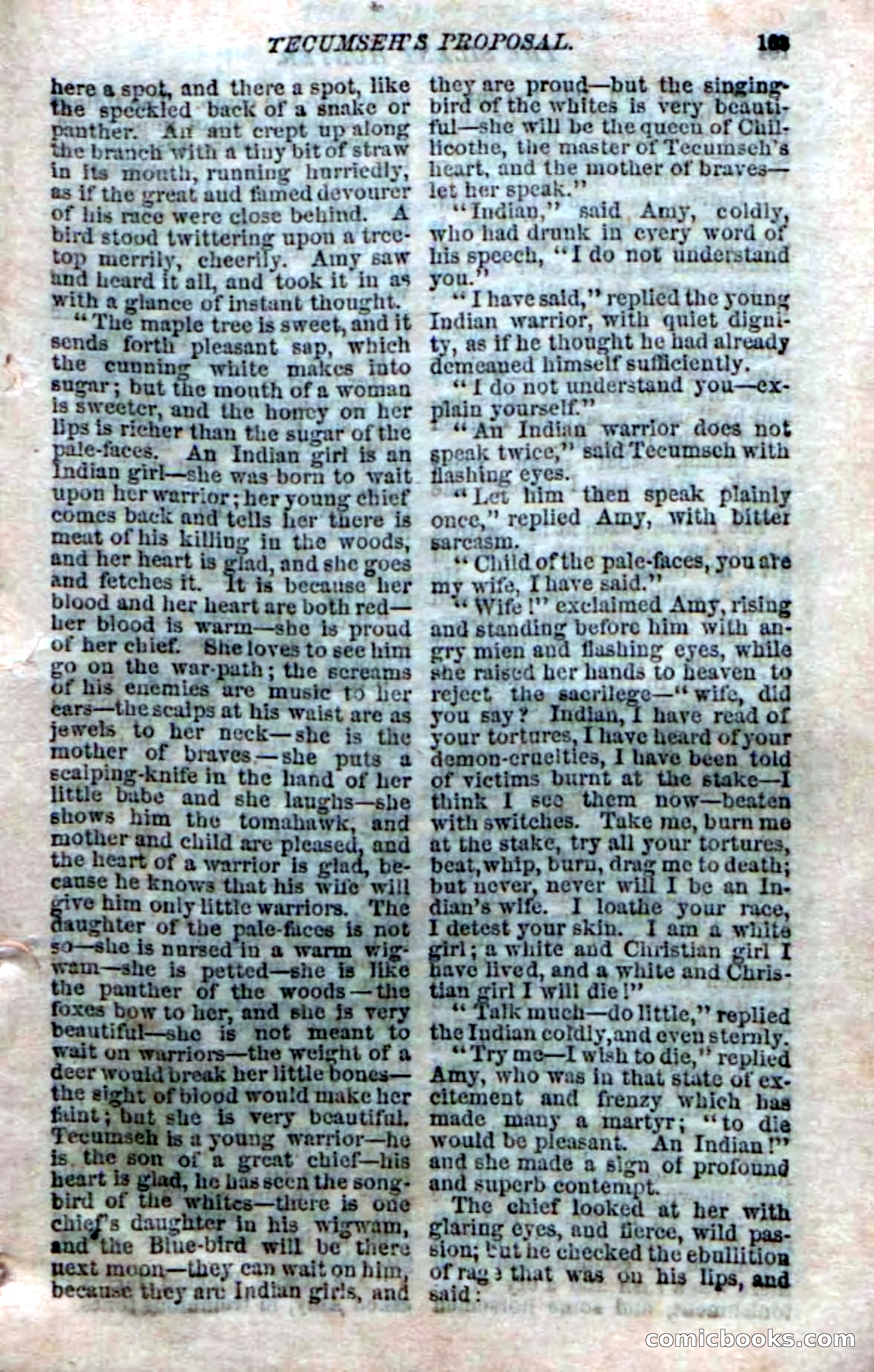 The Silent Hunter; or, The Scowl Hall Mystery — page 101 of 190