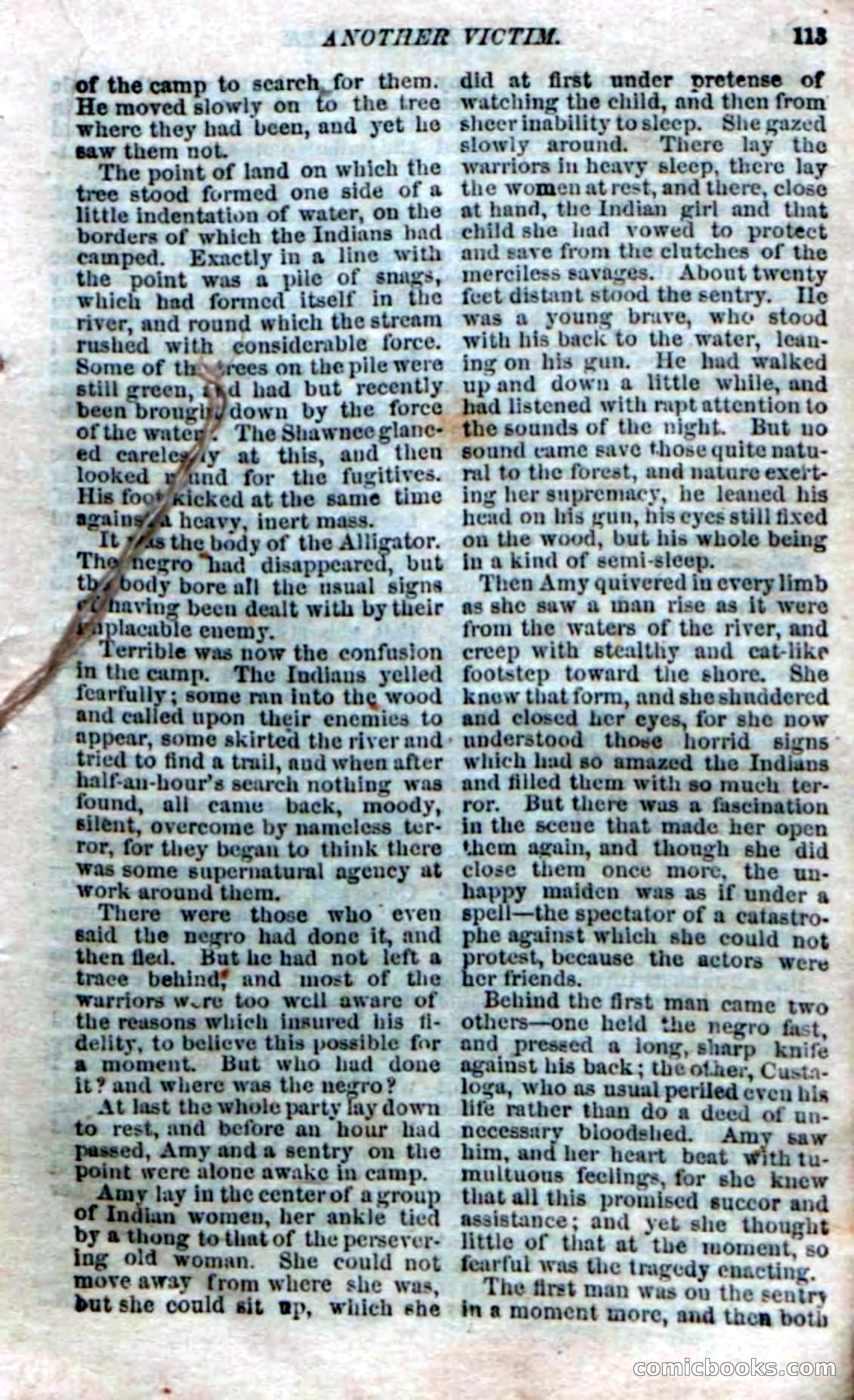 The Silent Hunter; or, The Scowl Hall Mystery — page 111 of 190
