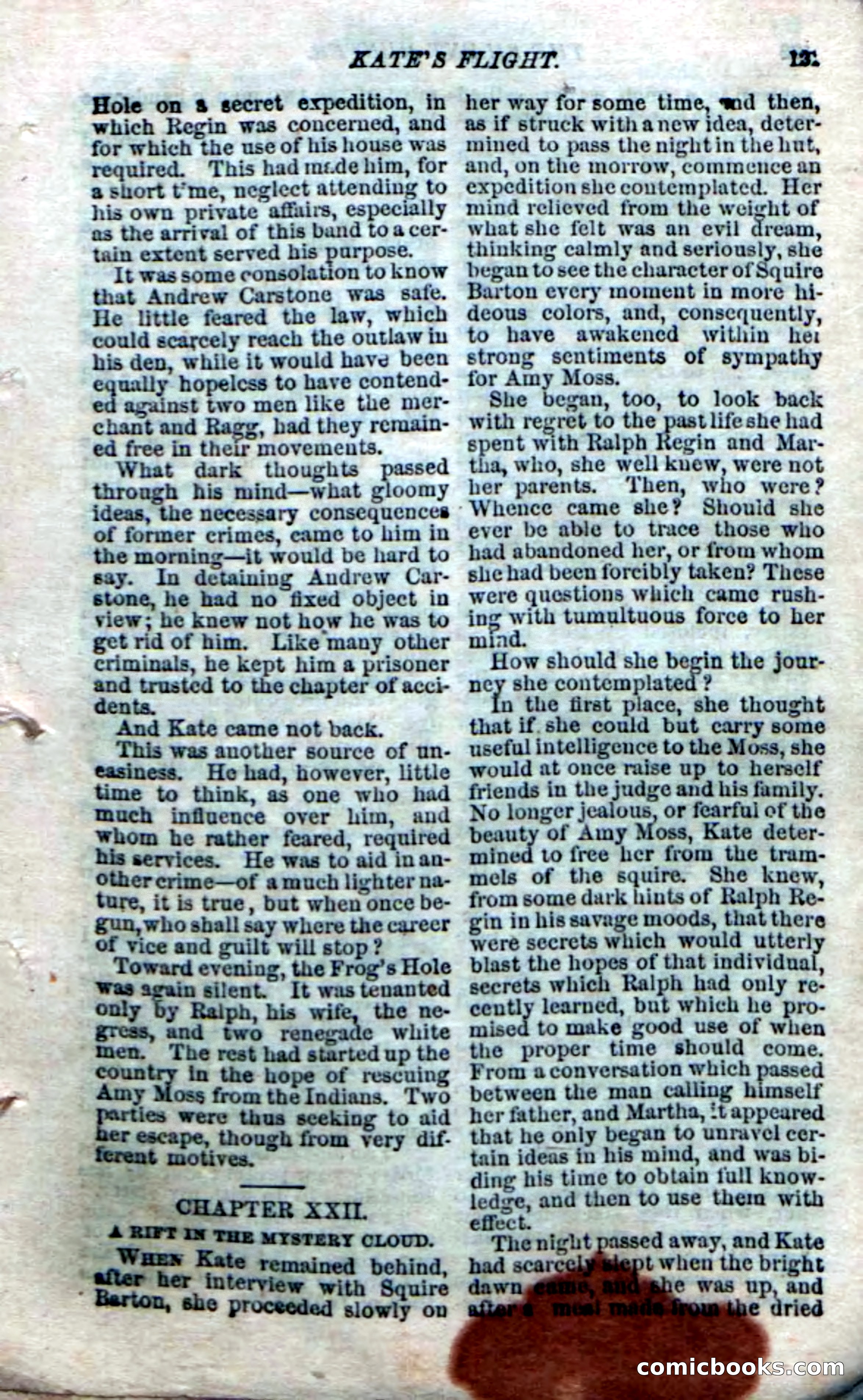 The Silent Hunter; or, The Scowl Hall Mystery — page 119 of 190