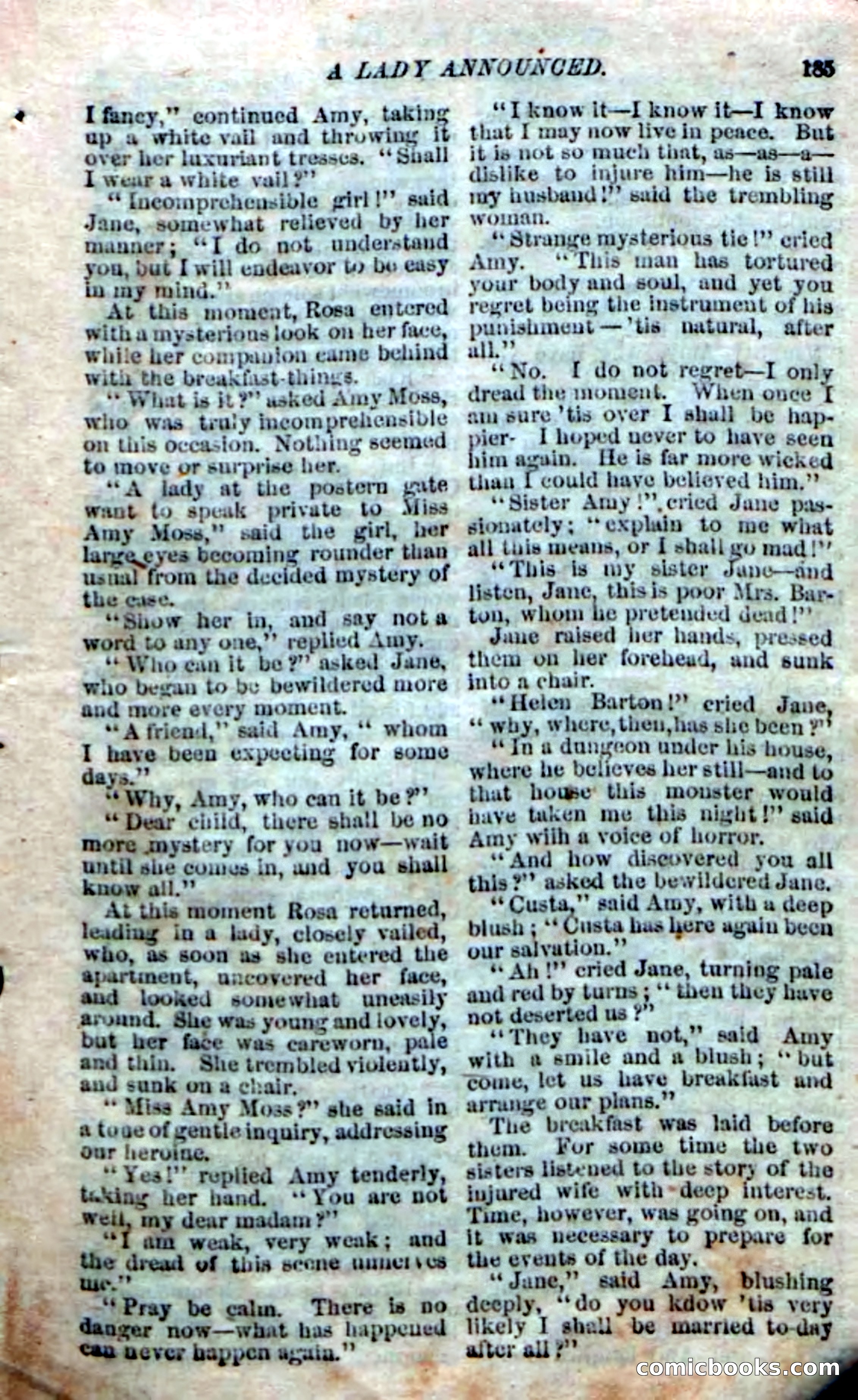 The Silent Hunter; or, The Scowl Hall Mystery — page 183 of 190