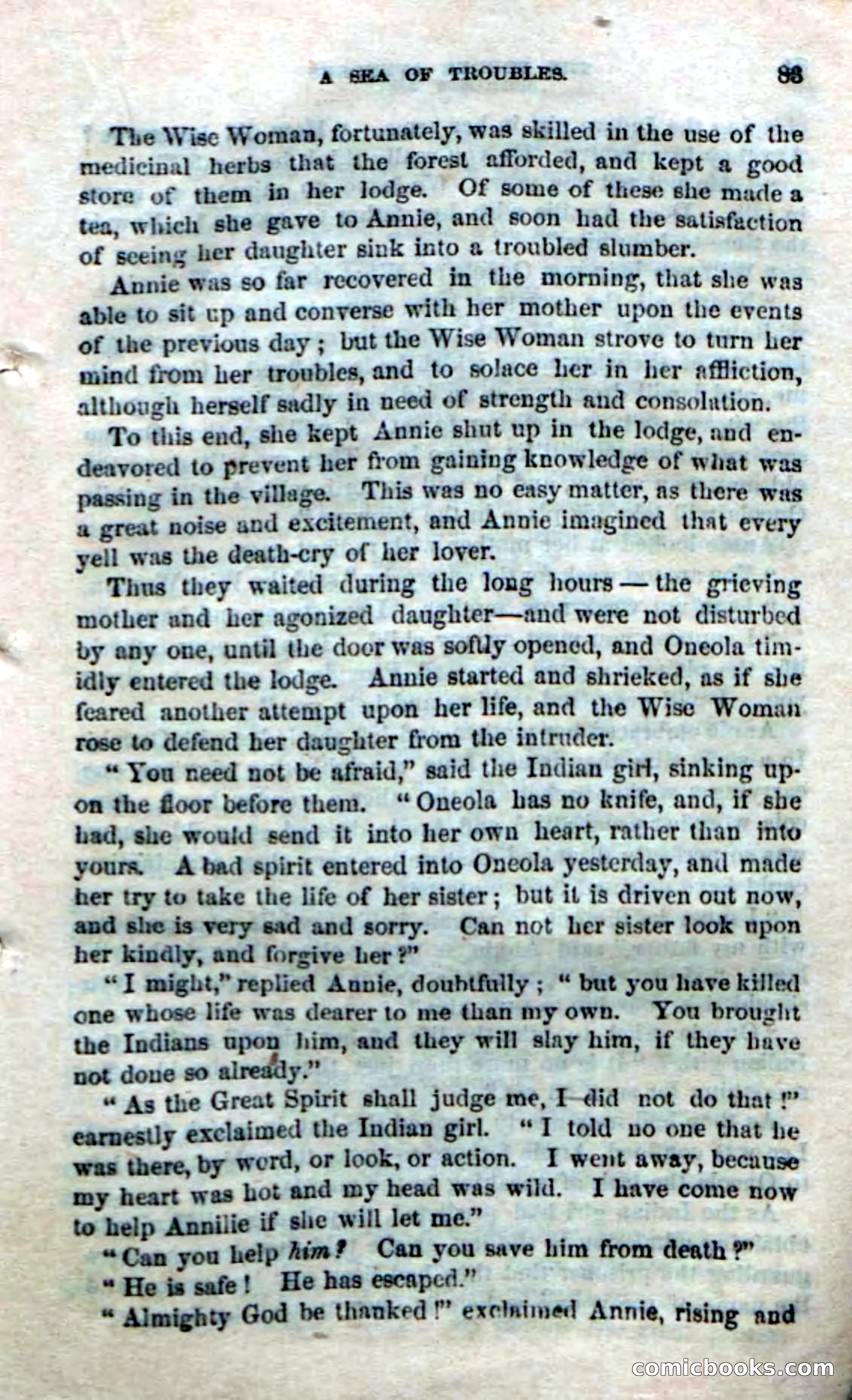 Beadle's Dime Novels No. 170: The Border Avengers — page 81 of 100