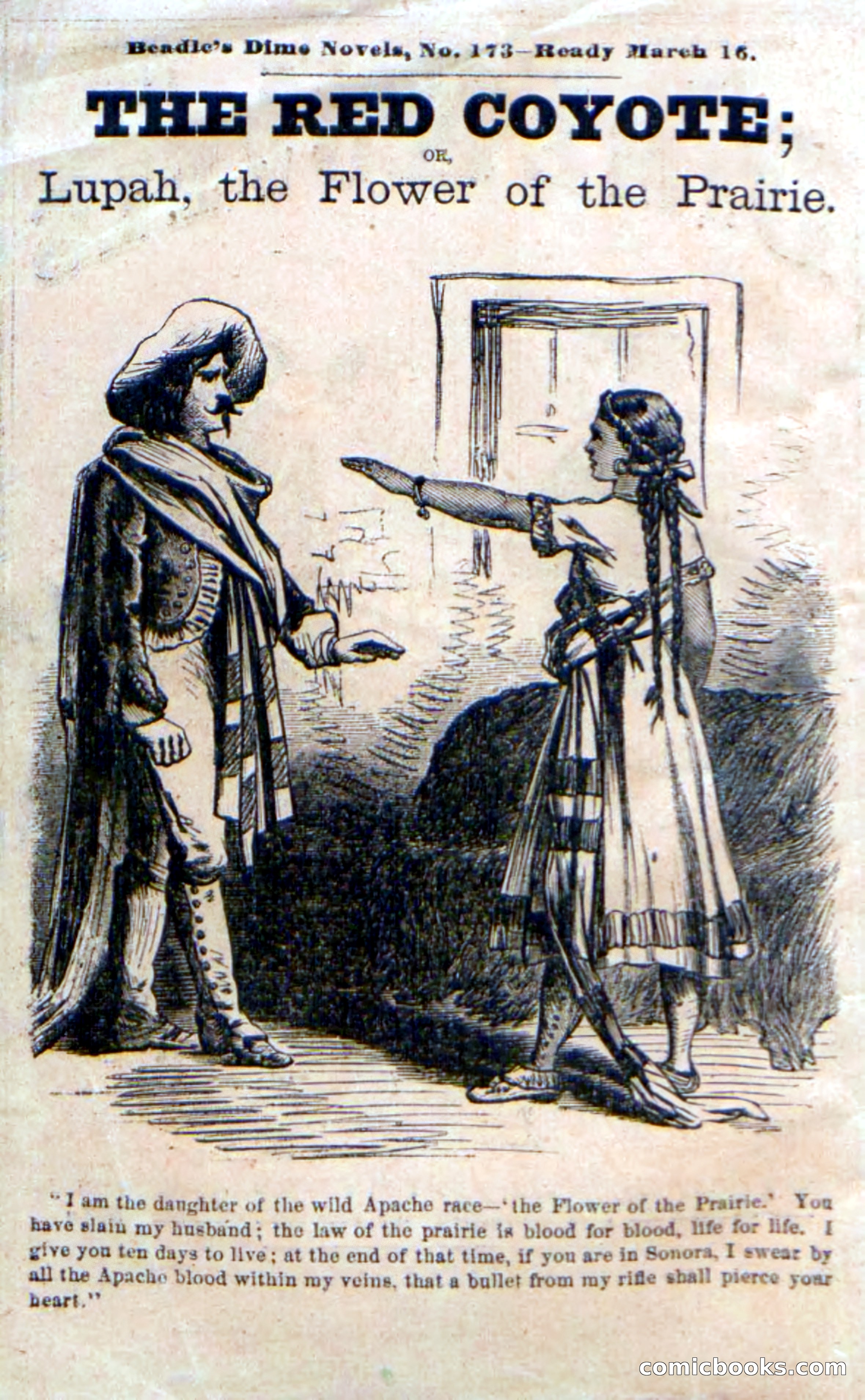 Beadle's Dime Novels No. 172: Despard, the Spy — page 2 of 100