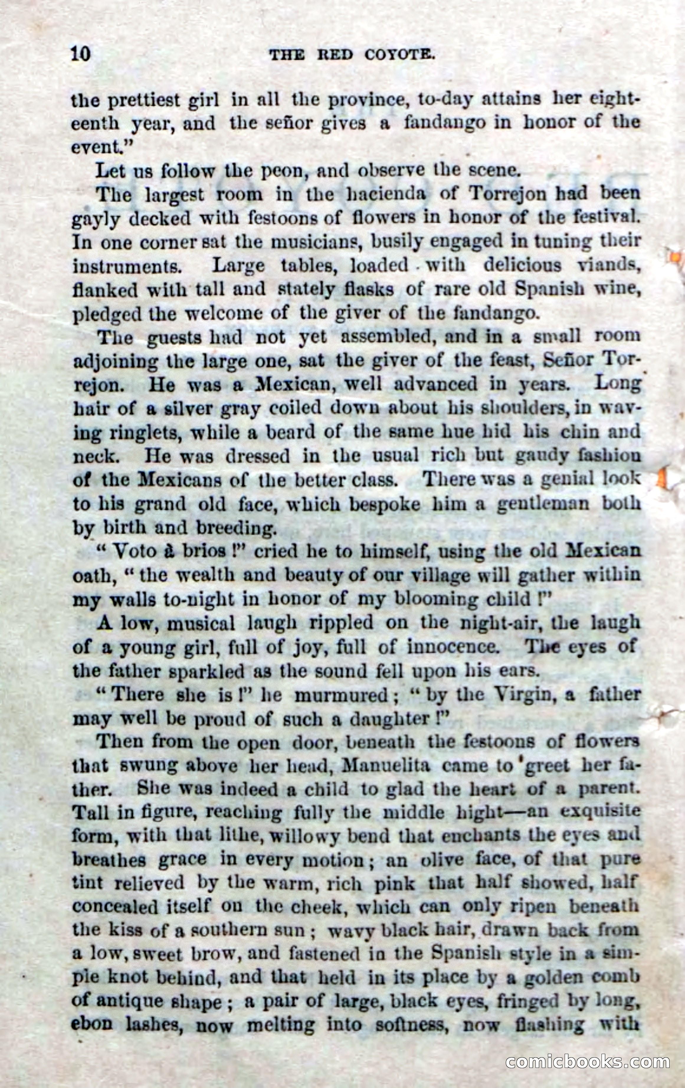 The Red Coyote; or, The Flower of the Prairie — page 8 of 100