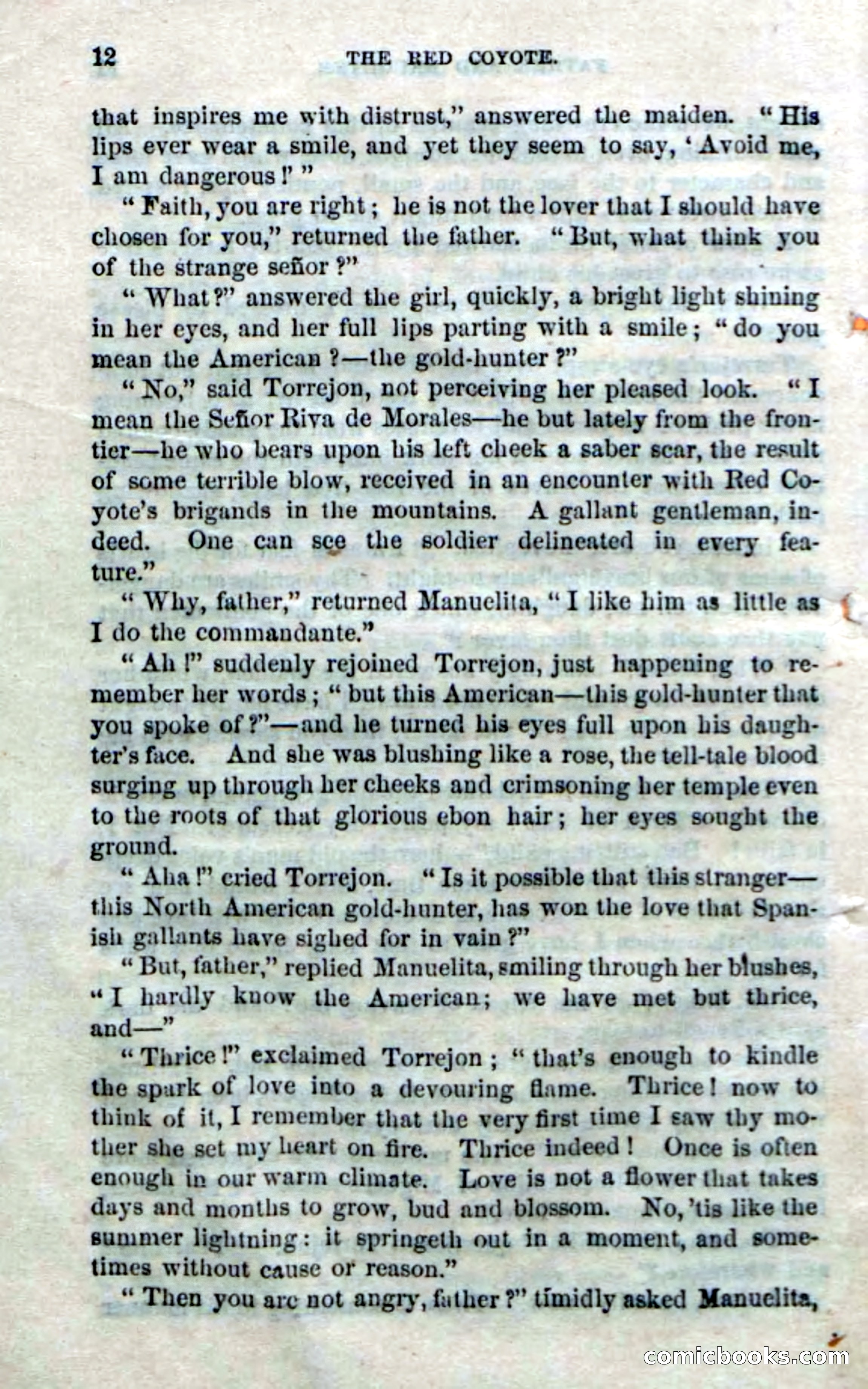 The Red Coyote; or, The Flower of the Prairie — page 10 of 100