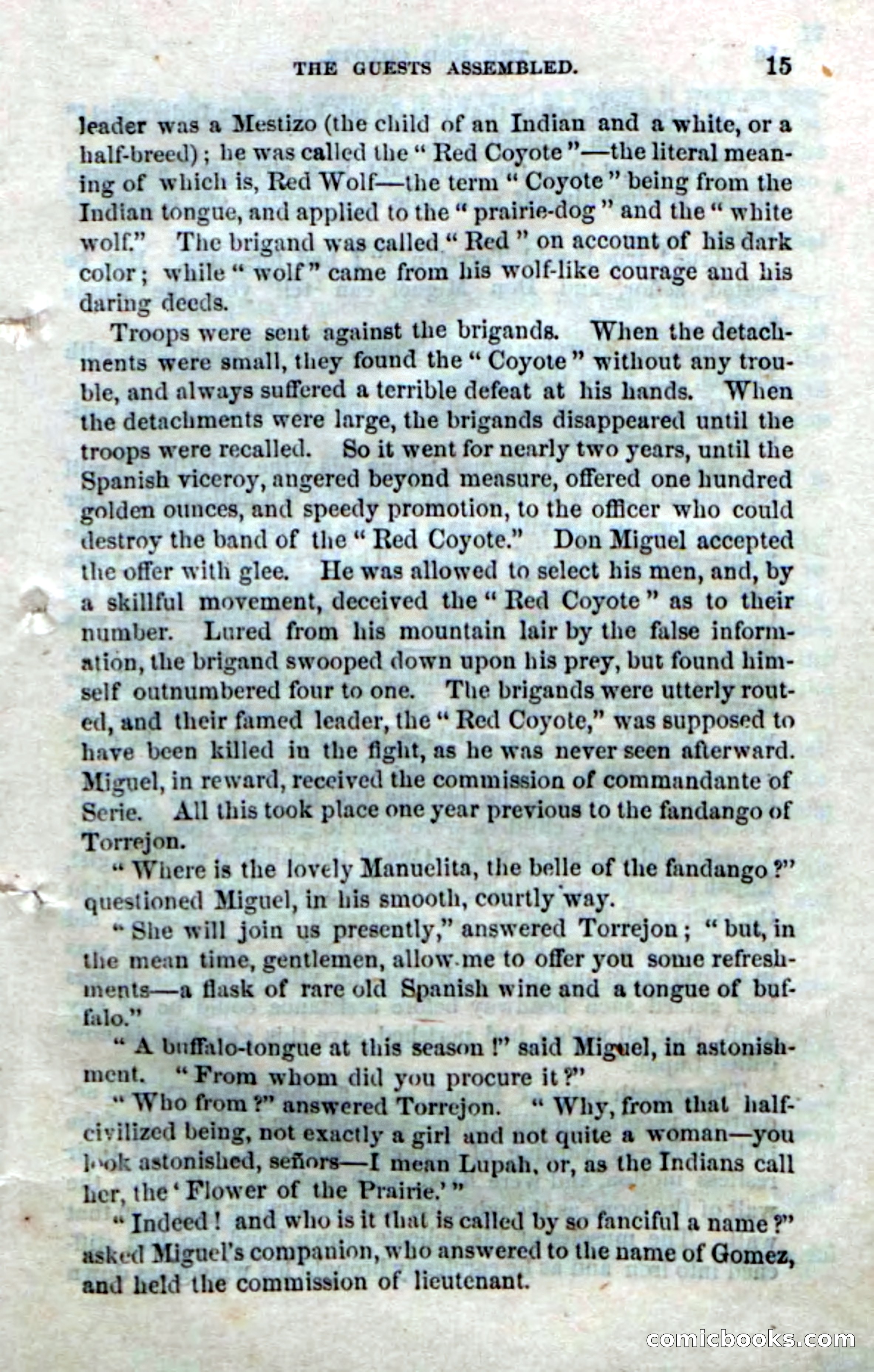 The Red Coyote; or, The Flower of the Prairie — page 13 of 100