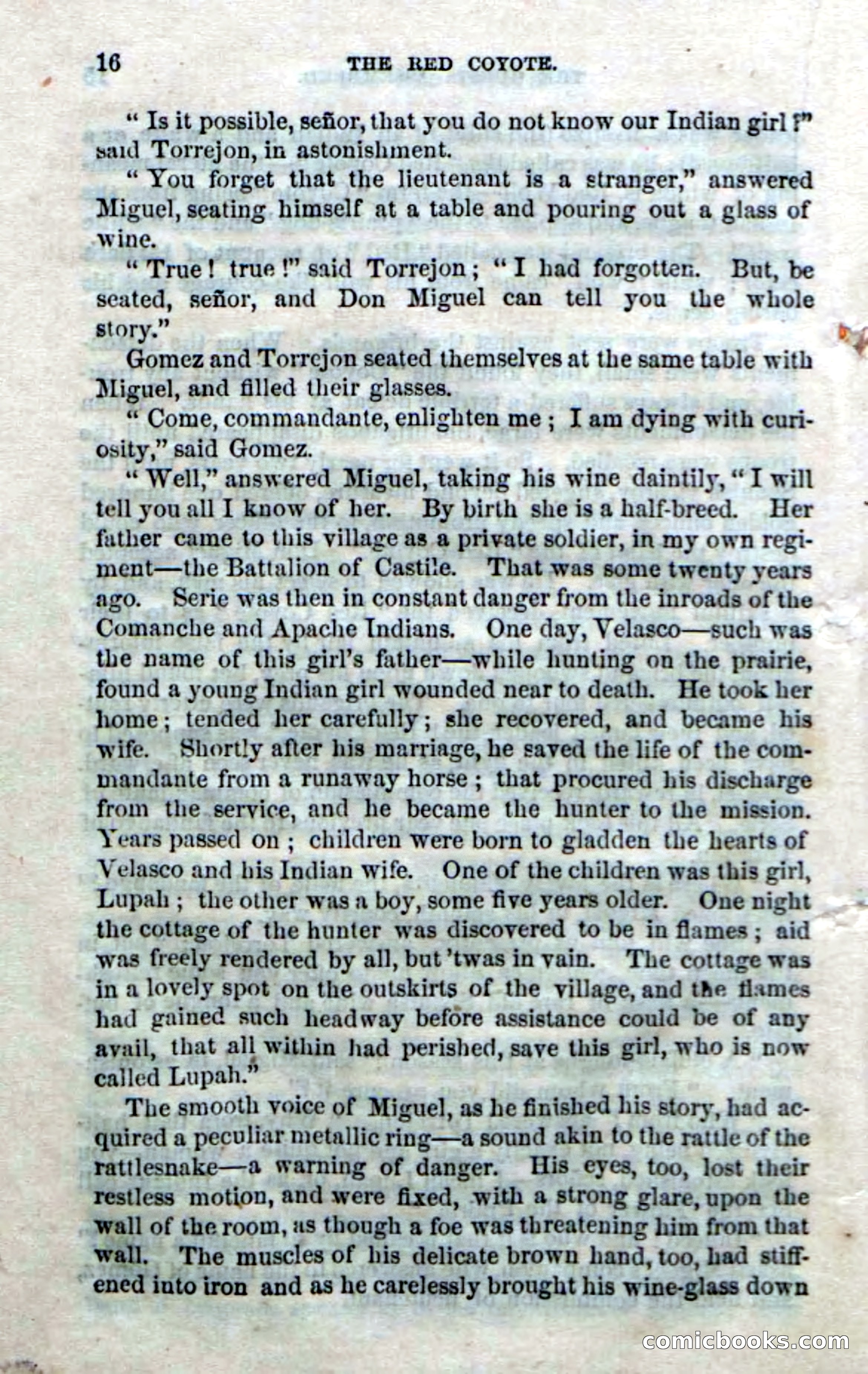 The Red Coyote; or, The Flower of the Prairie — page 14 of 100