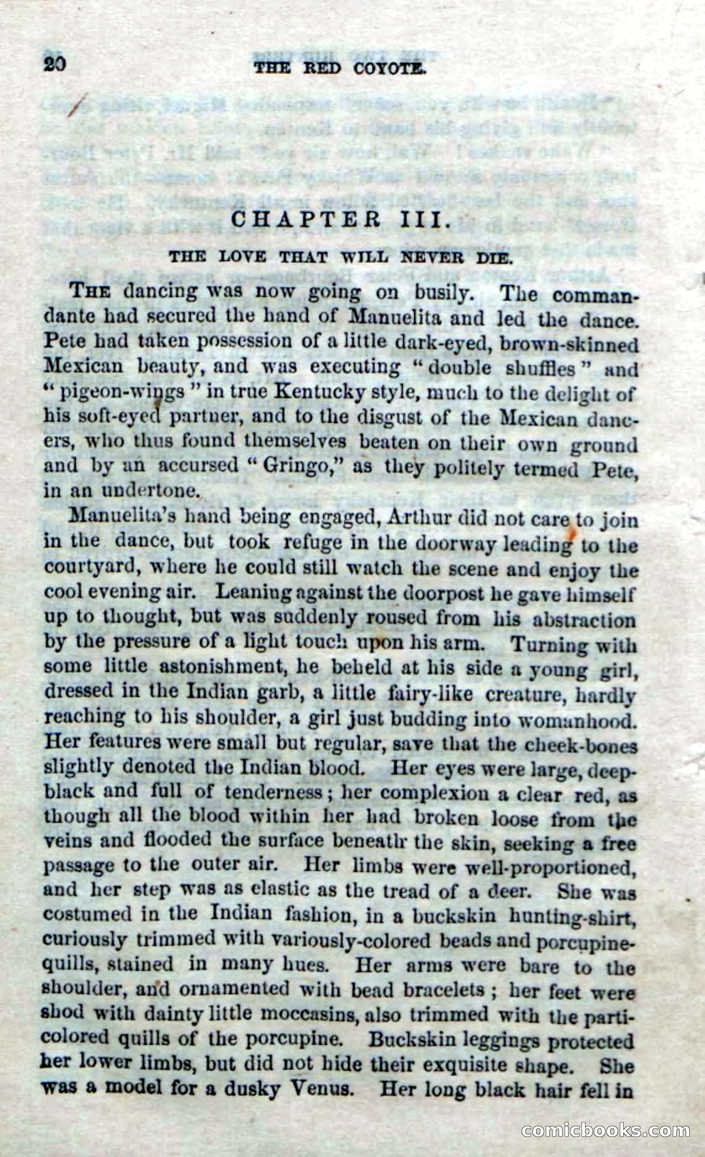 The Red Coyote; or, The Flower of the Prairie — page 18 of 100
