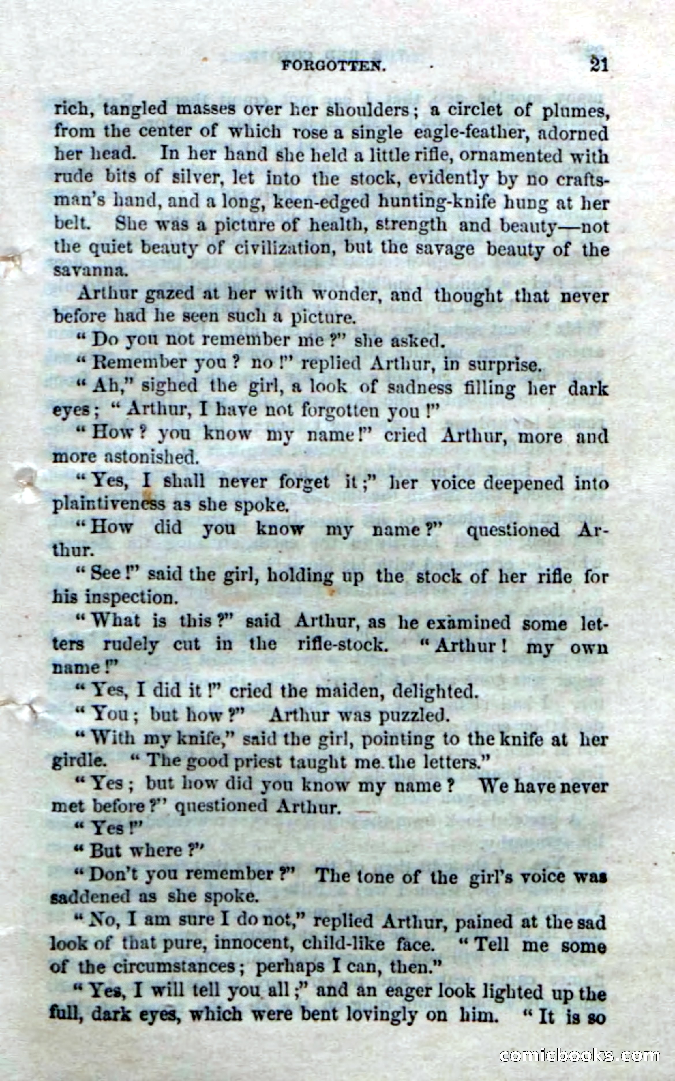The Red Coyote; or, The Flower of the Prairie — page 19 of 100
