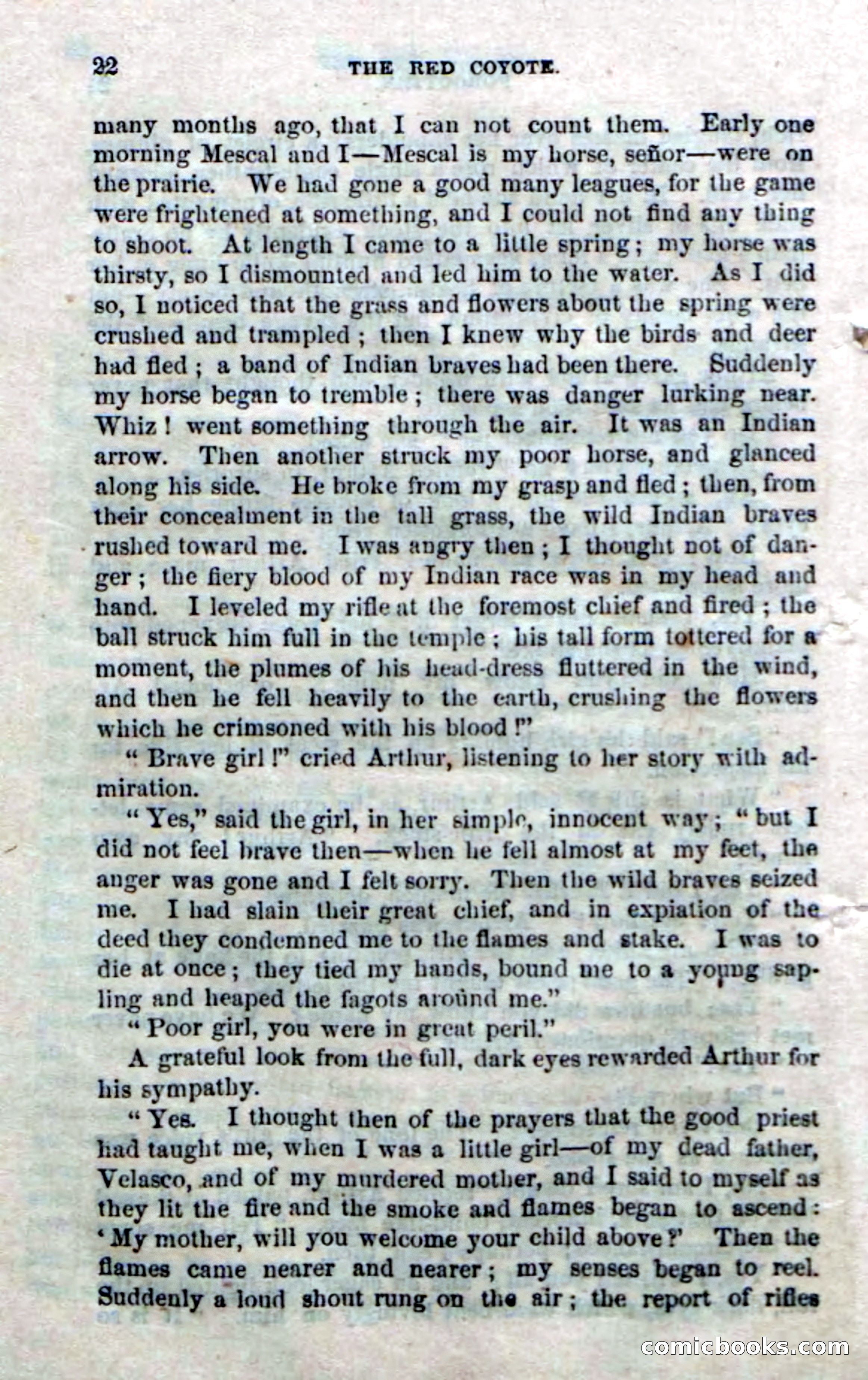 The Red Coyote; or, The Flower of the Prairie — page 20 of 100