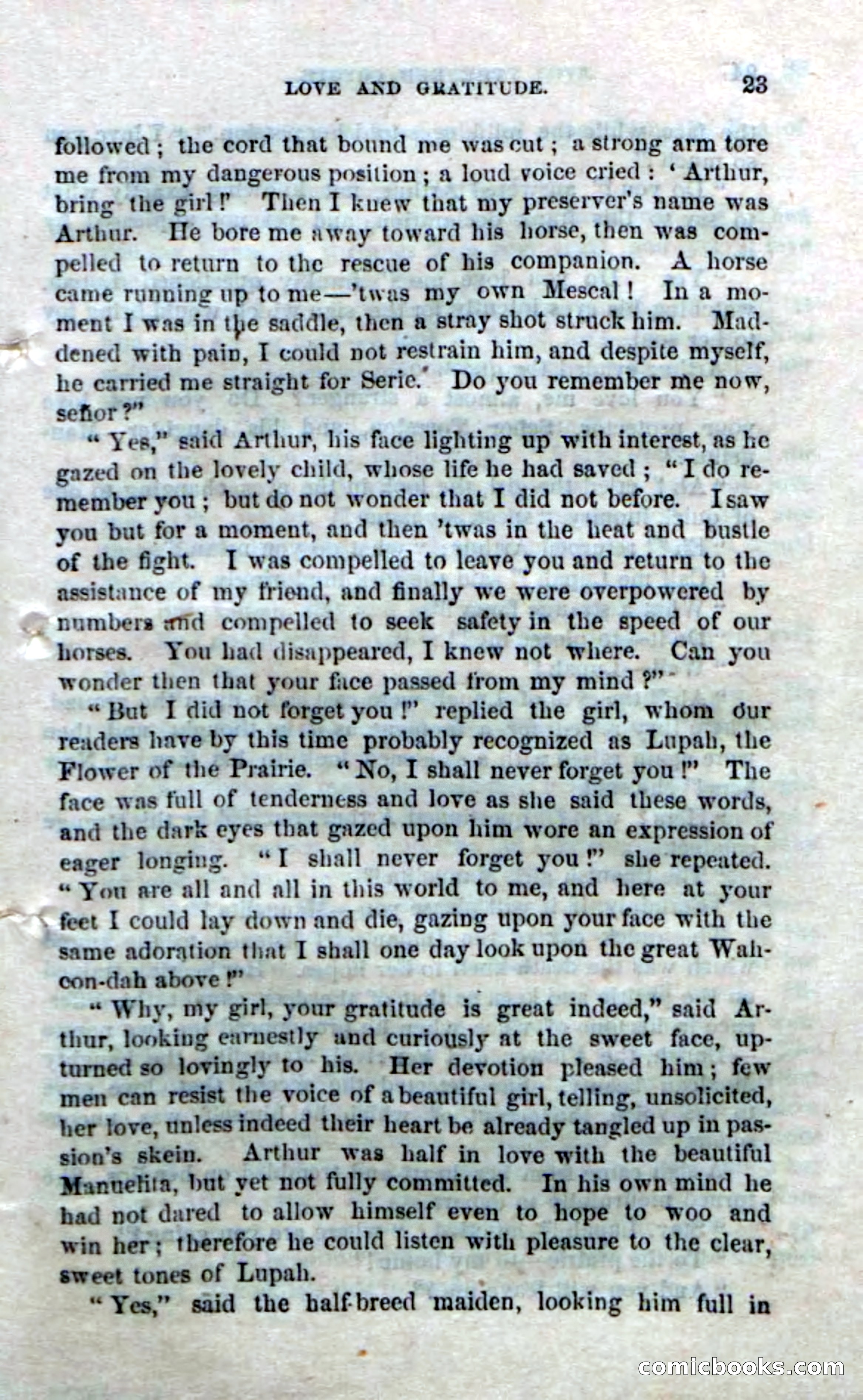 The Red Coyote; or, The Flower of the Prairie — page 21 of 100