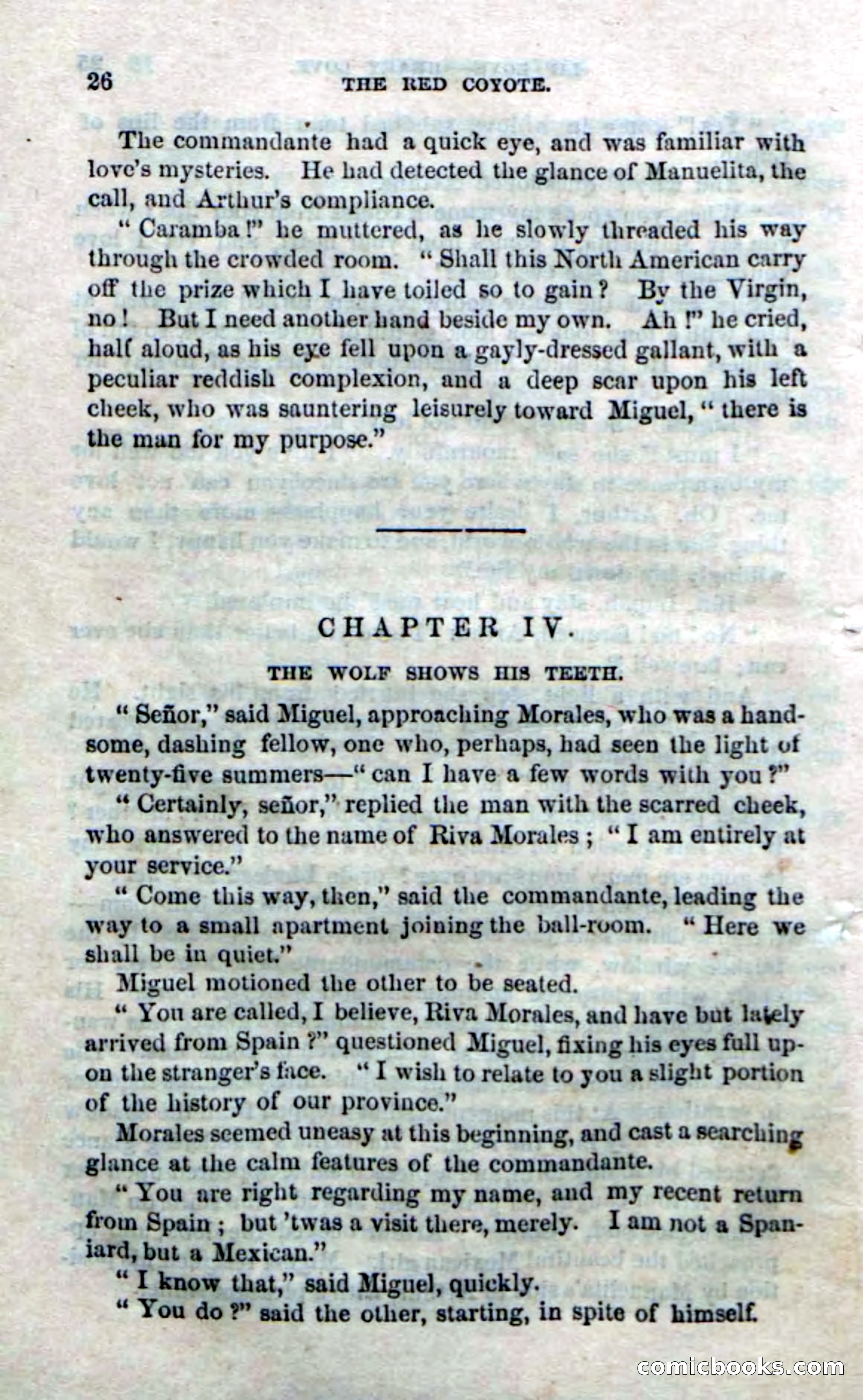 The Red Coyote; or, The Flower of the Prairie — page 24 of 100
