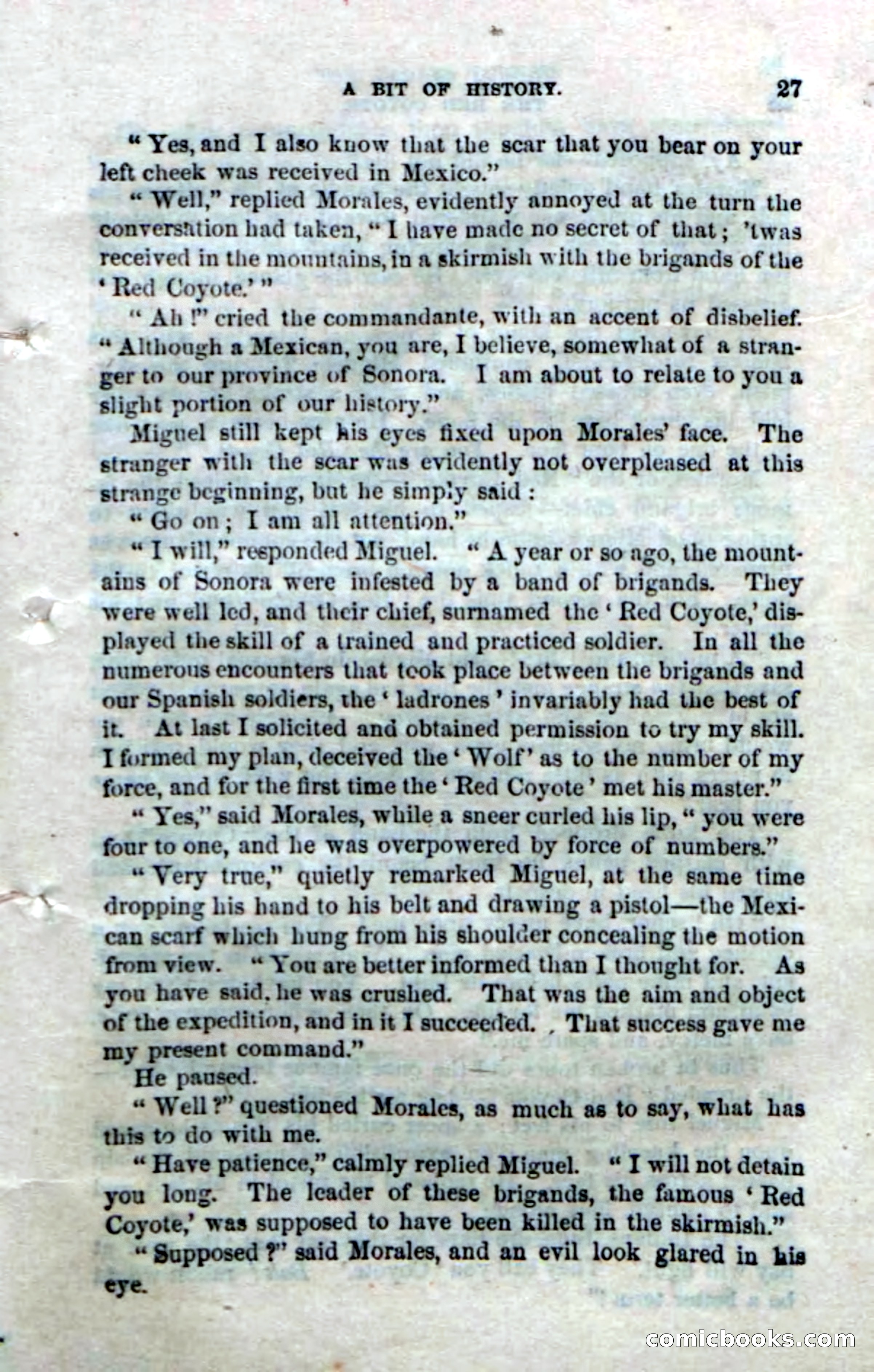 The Red Coyote; or, The Flower of the Prairie — page 25 of 100