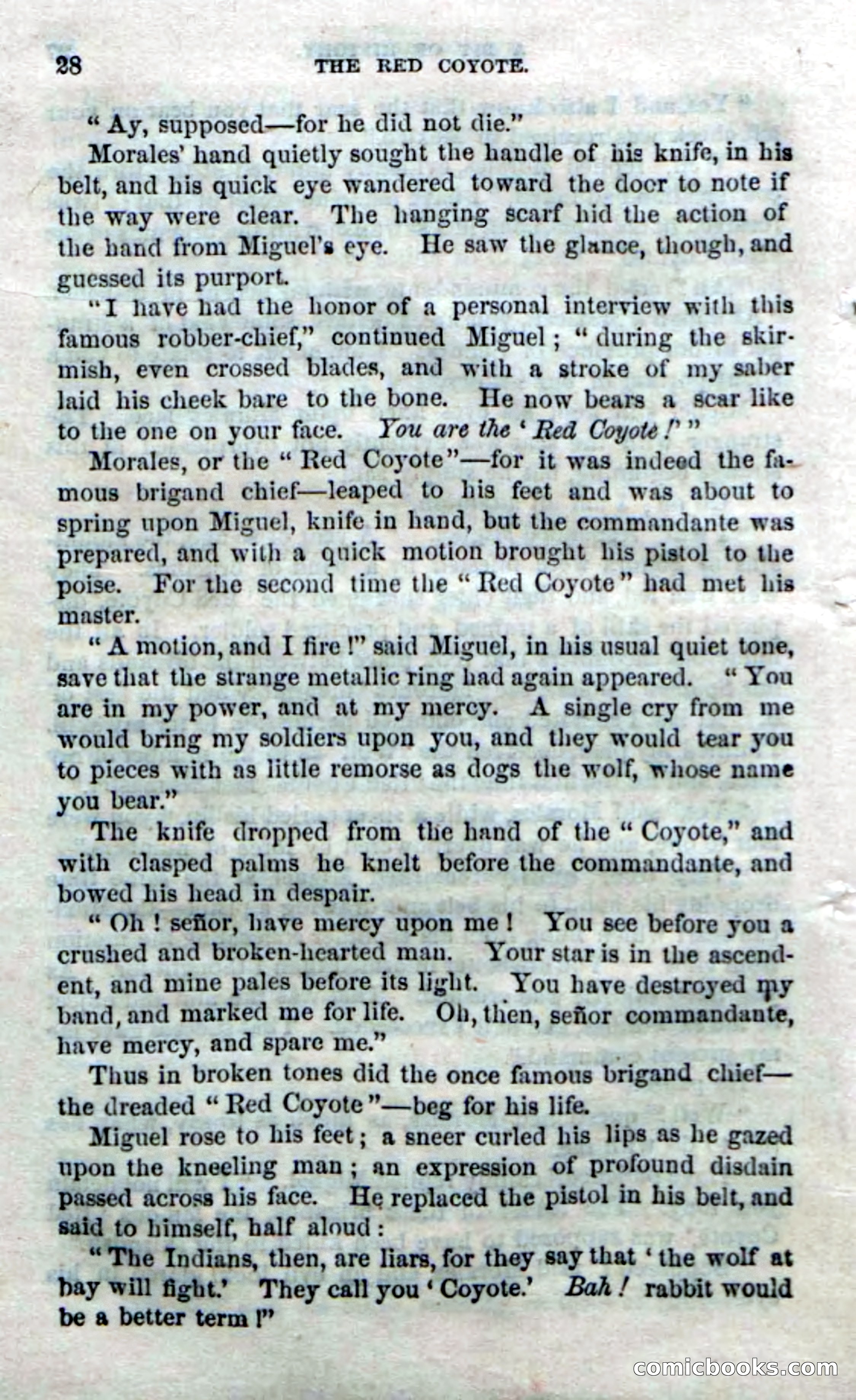 The Red Coyote; or, The Flower of the Prairie — page 26 of 100