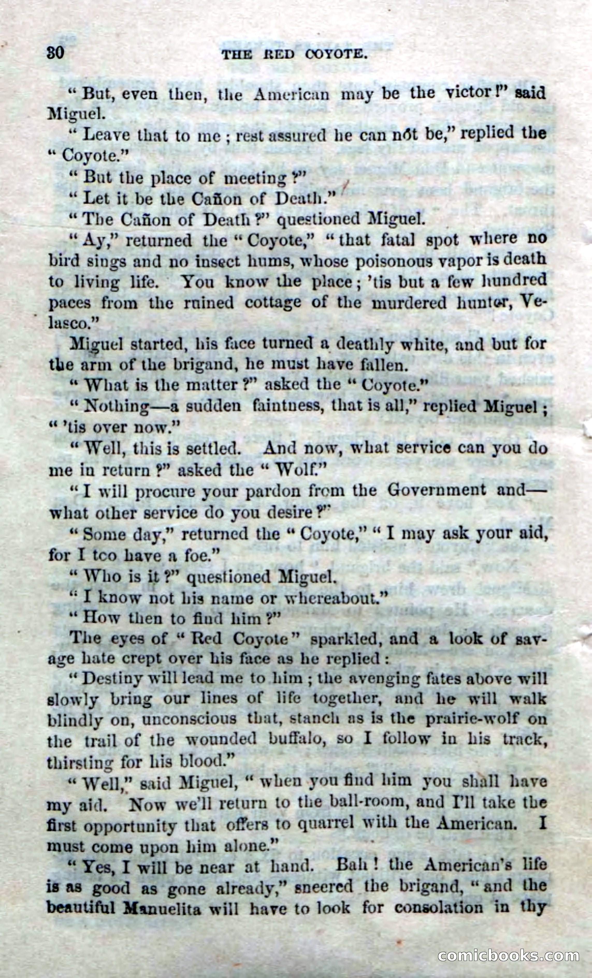 The Red Coyote; or, The Flower of the Prairie — page 28 of 100