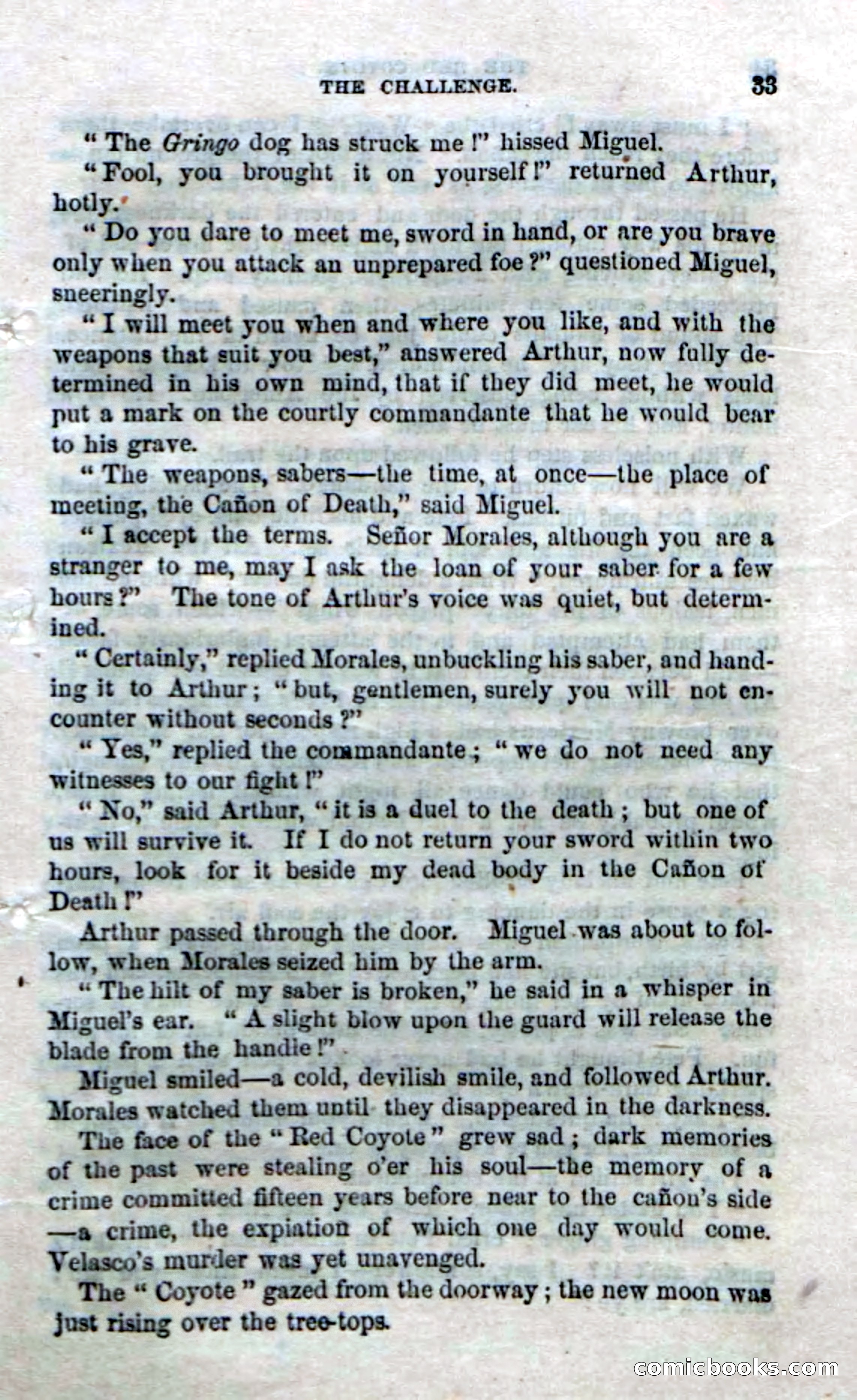 The Red Coyote; or, The Flower of the Prairie — page 31 of 100