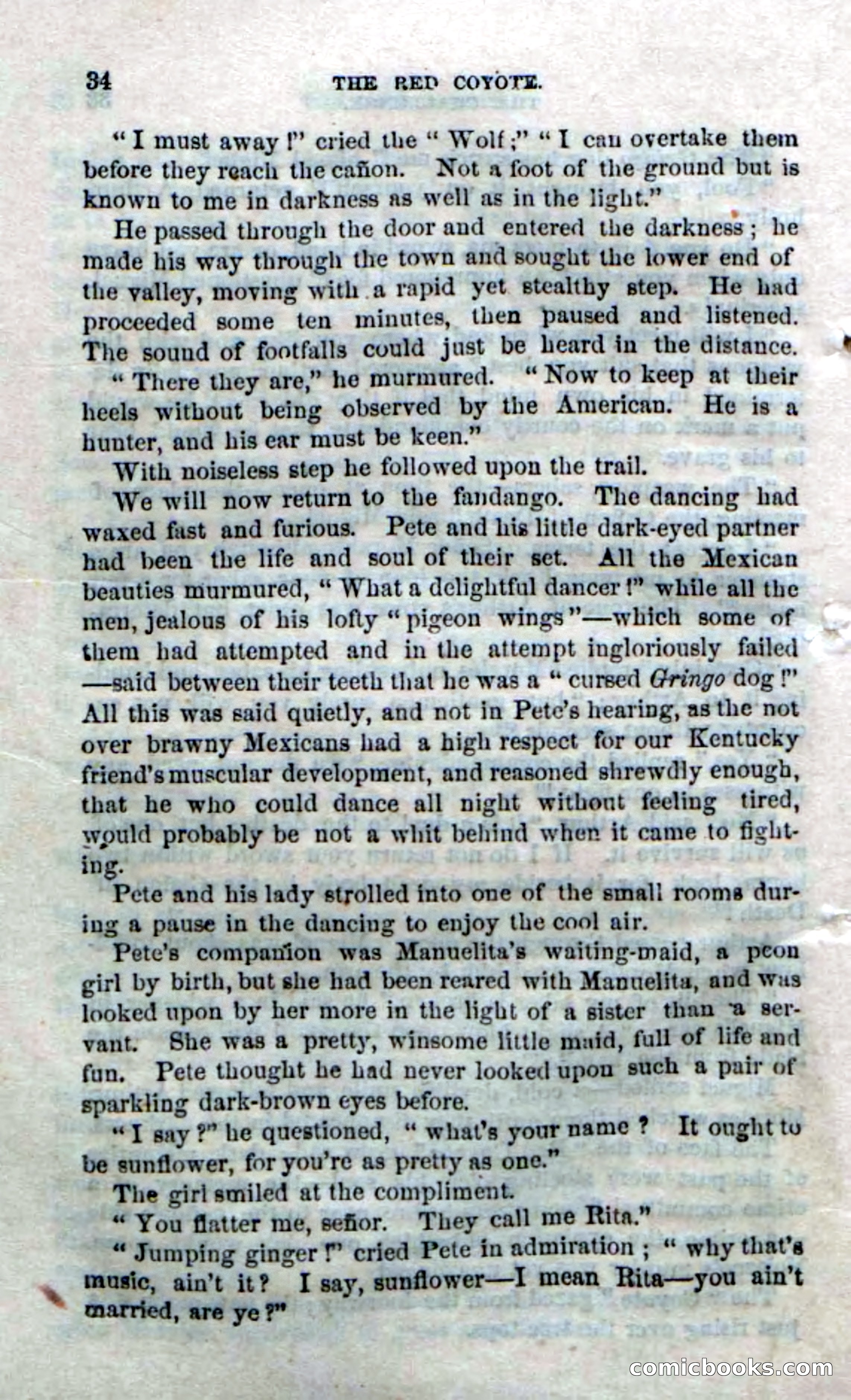 The Red Coyote; or, The Flower of the Prairie — page 32 of 100